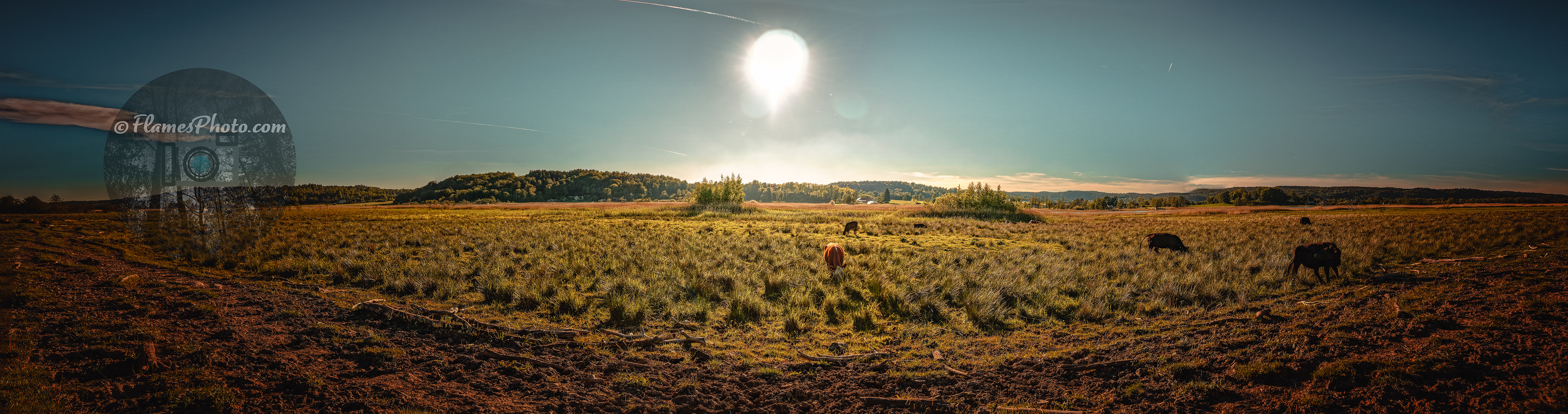 -57- © Joakim Öberg / FlamesPhoto