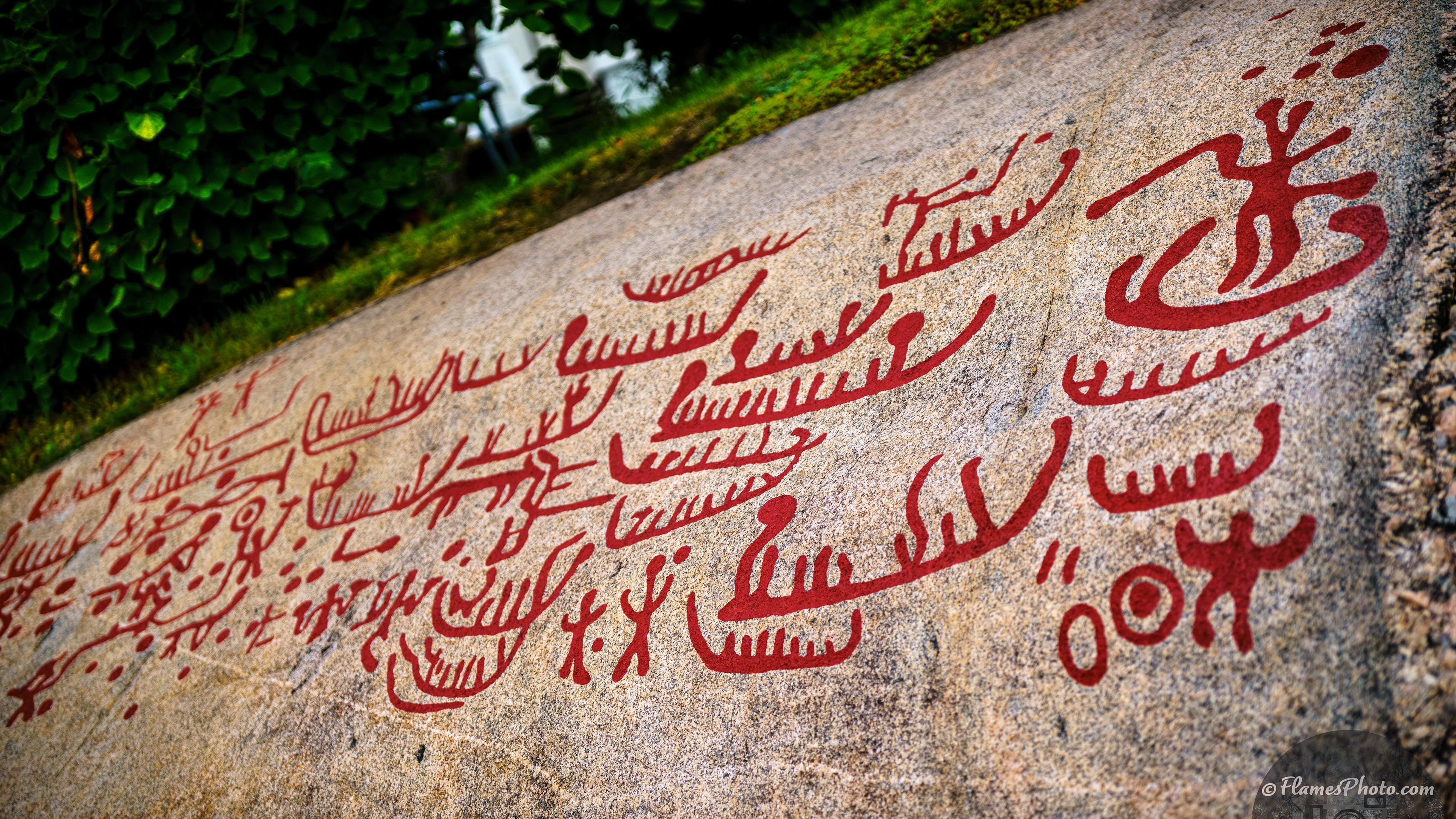 -39- © Joakim Öberg / FlamesPhoto