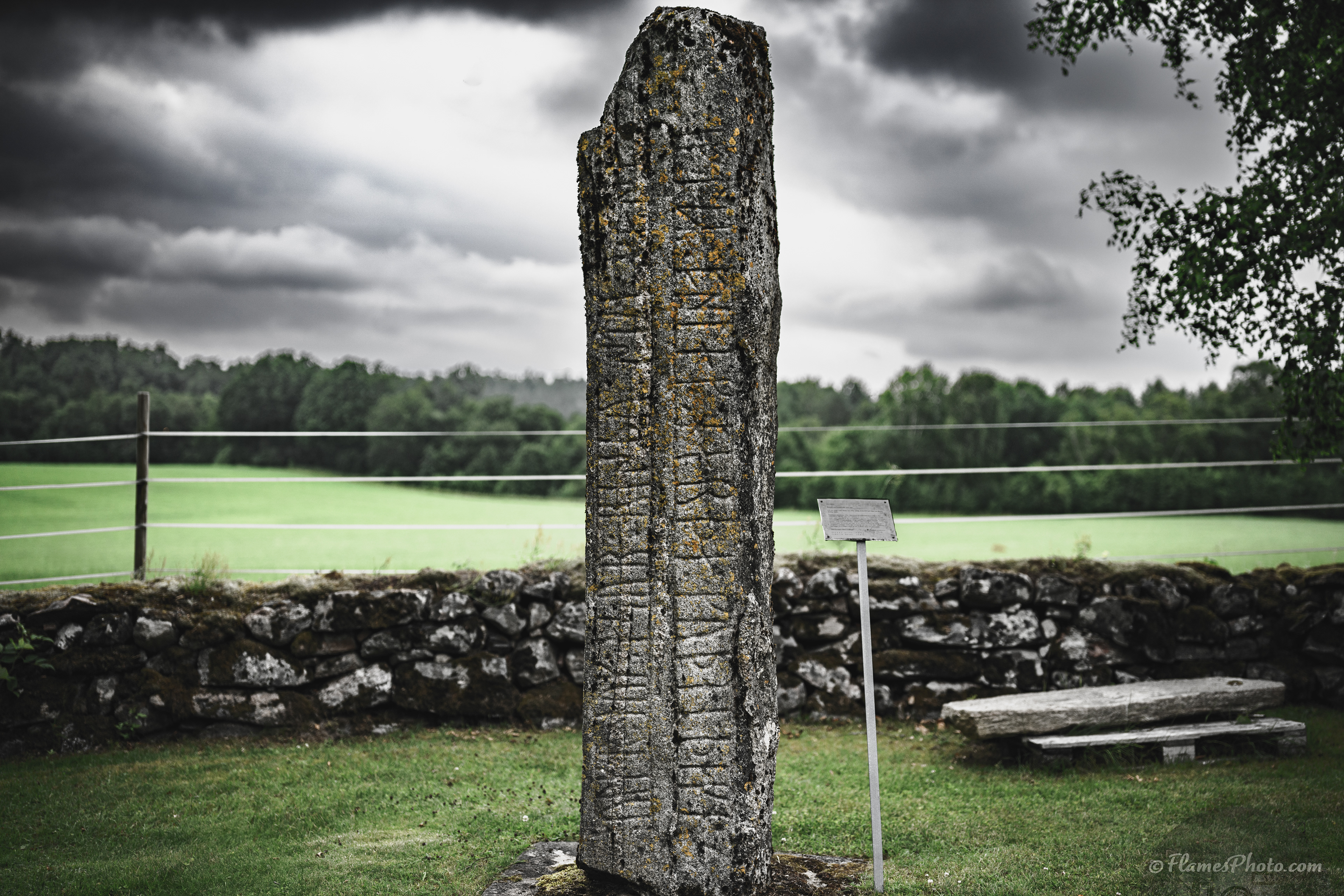 -17- © Joakim Öberg / FlamesPhoto