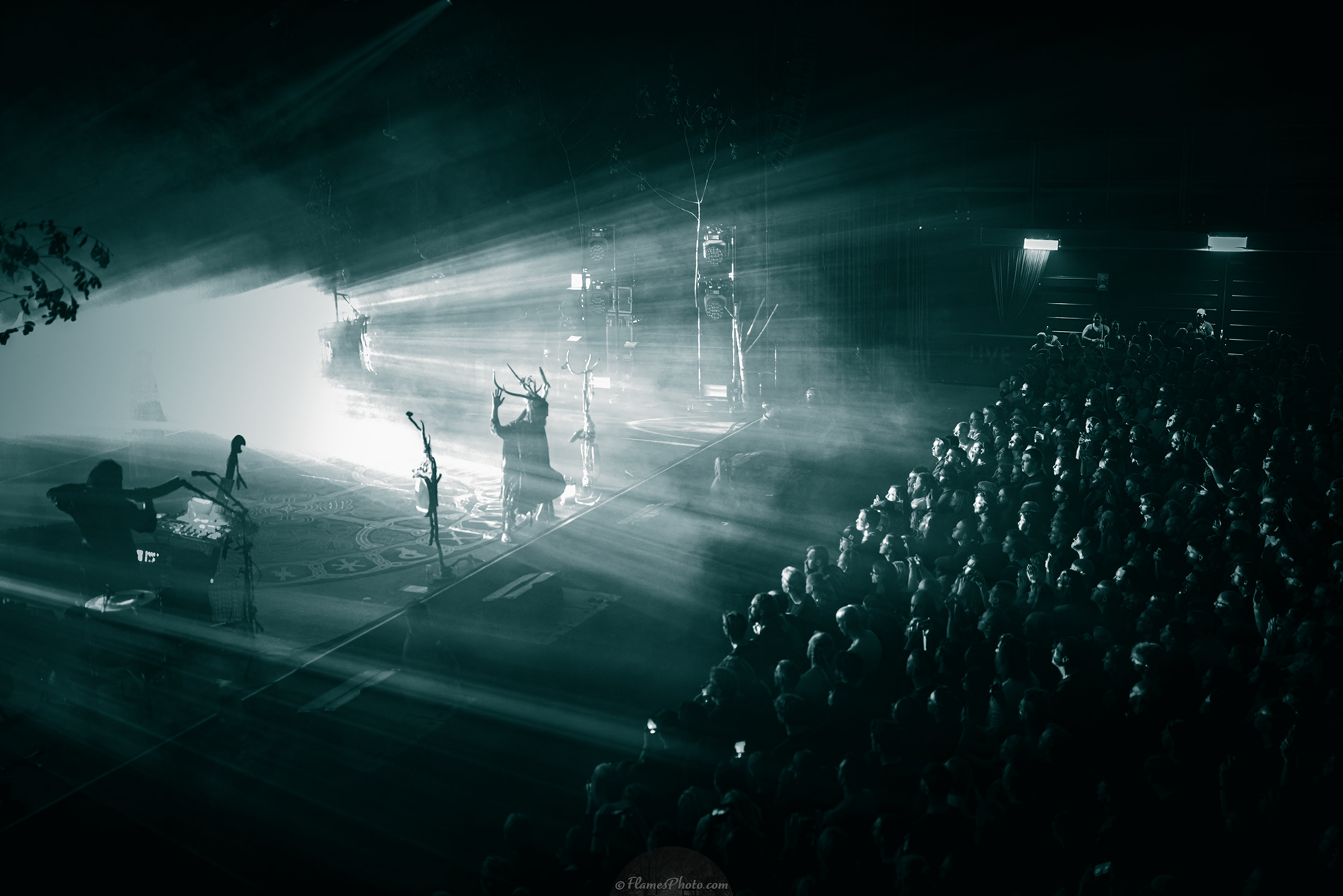-124- © Joakim Öberg / FlamesPhoto