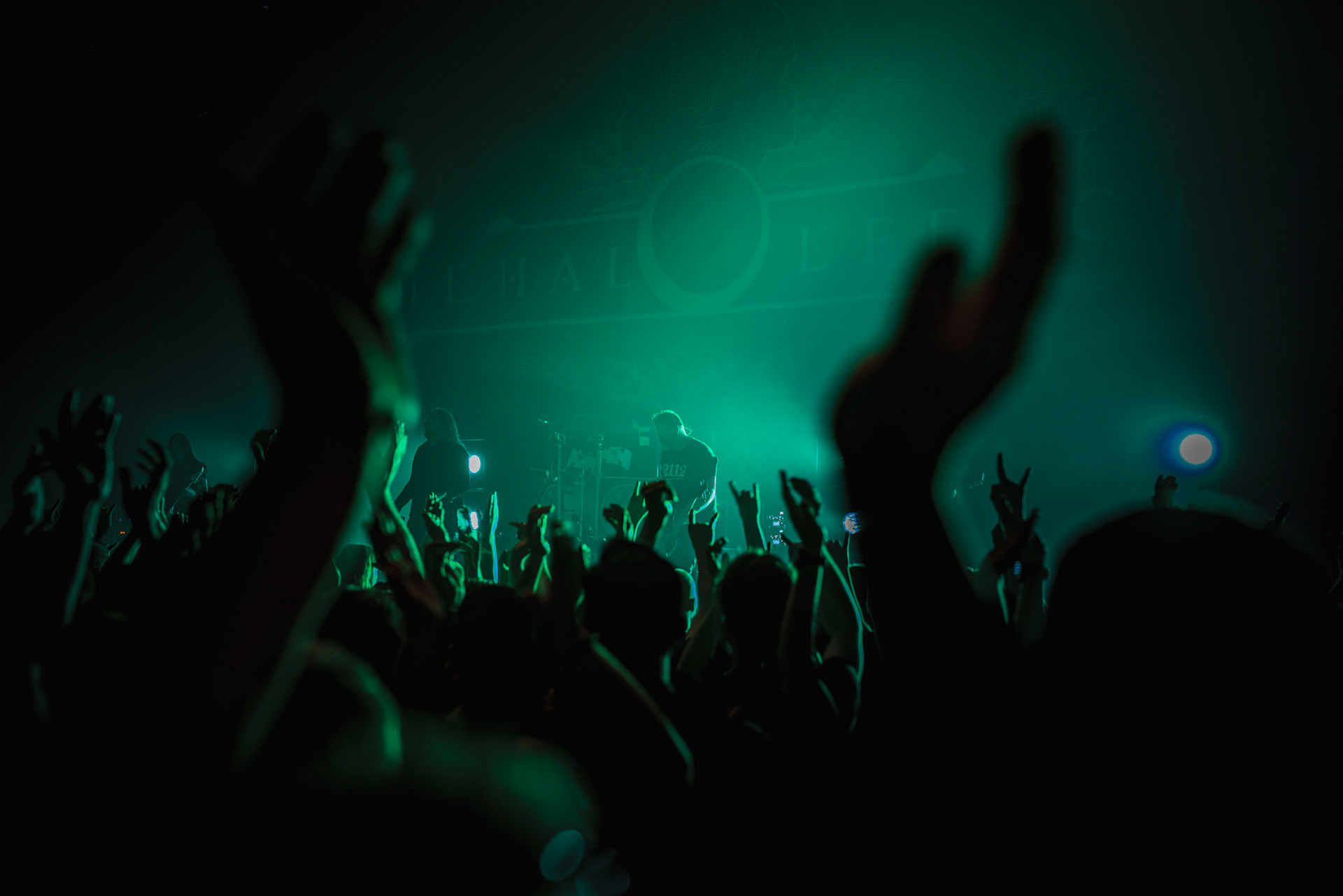 -19- The Halo Effect (© Joakim Öberg // FlamesPhoto.com)