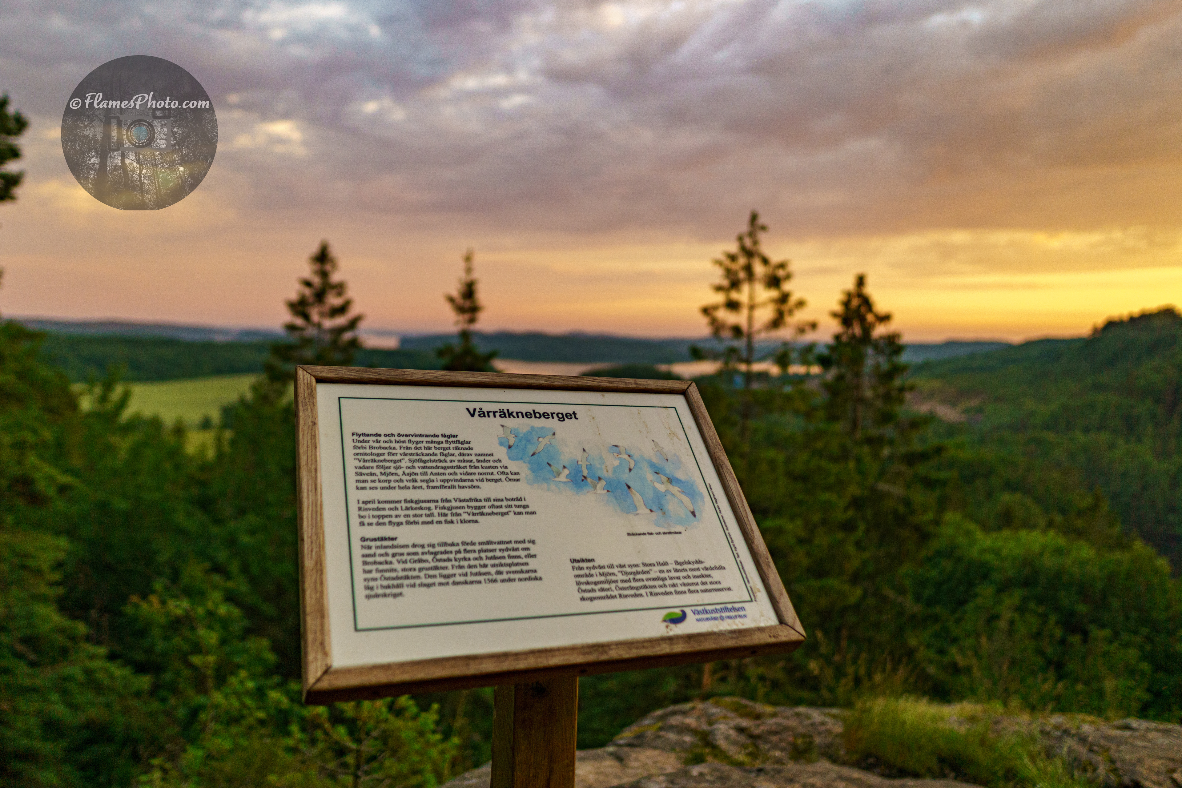 -74-© Joakim Öberg / FlamesPhoto