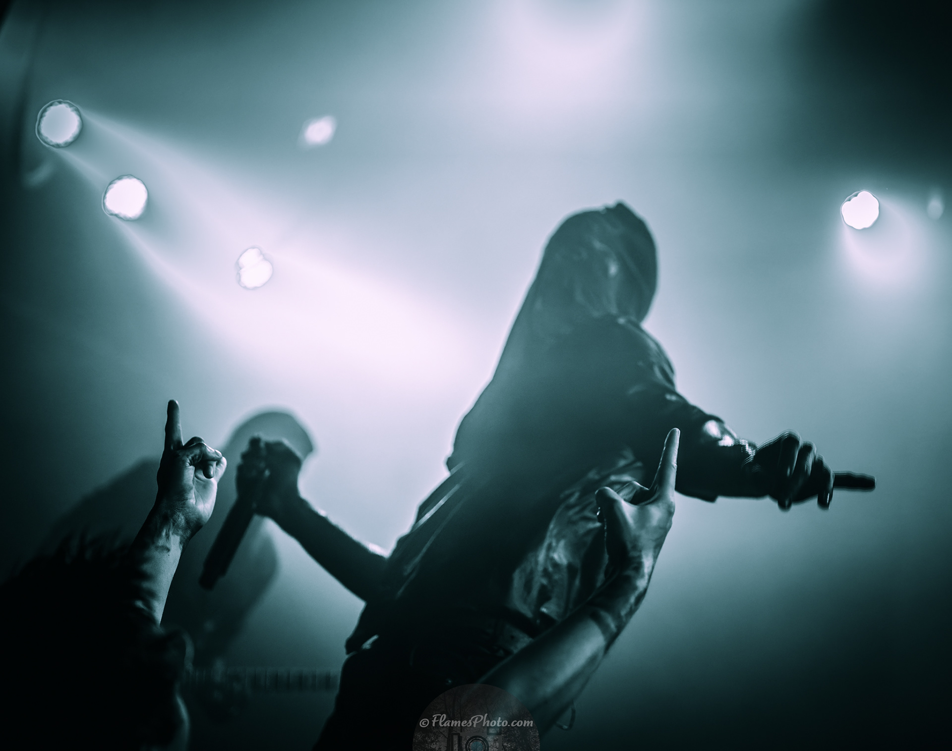 -37- Gaerea © Joakim Öberg / FlamesPhoto