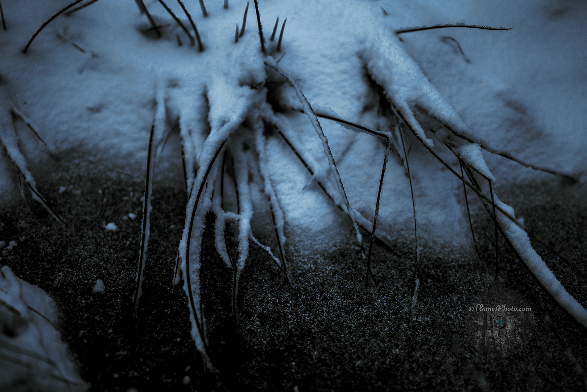 -18- © Joakim Öberg / FlamesPhoto