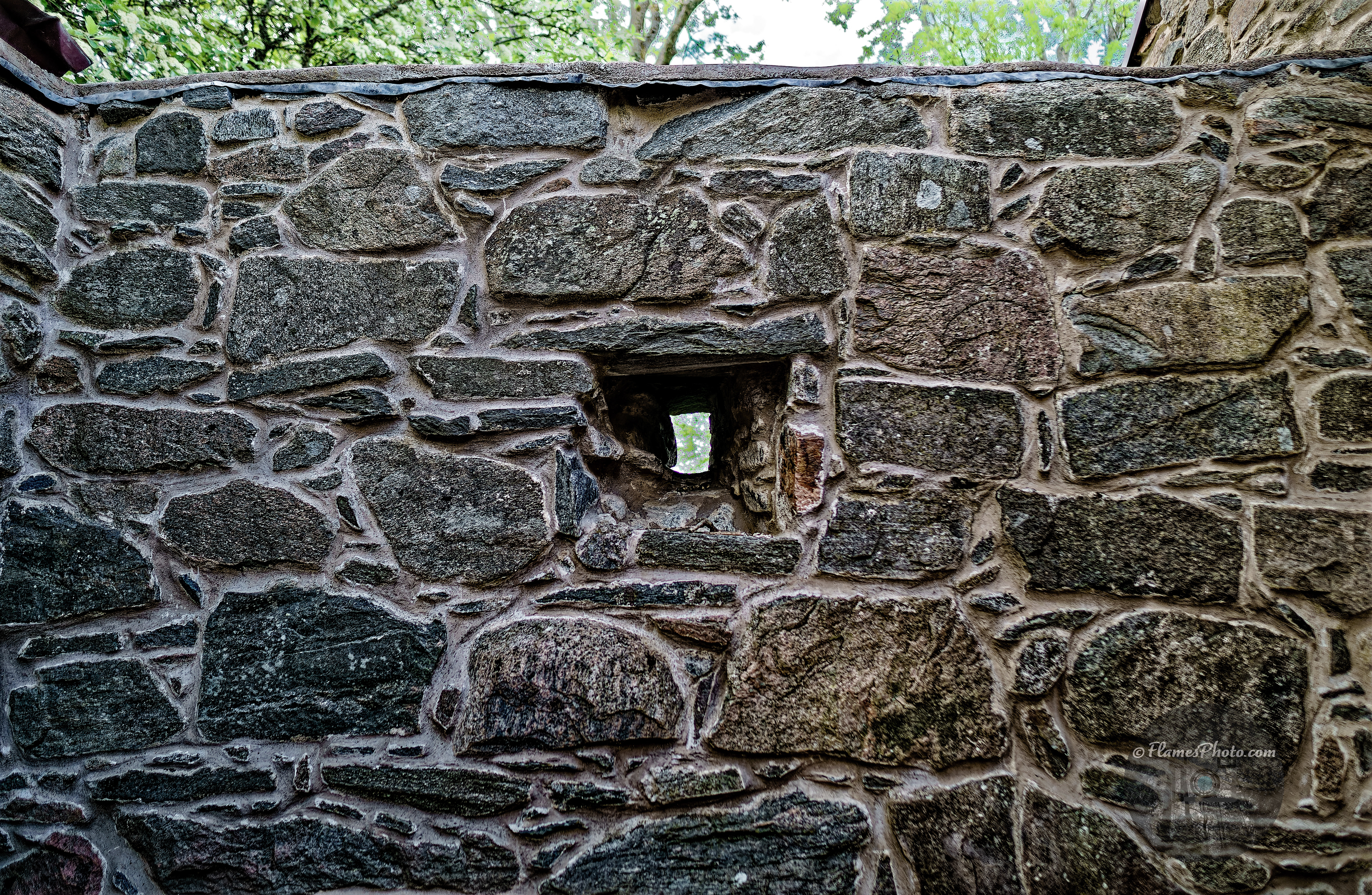 -25- © Joakim Öberg / FlamesPhoto