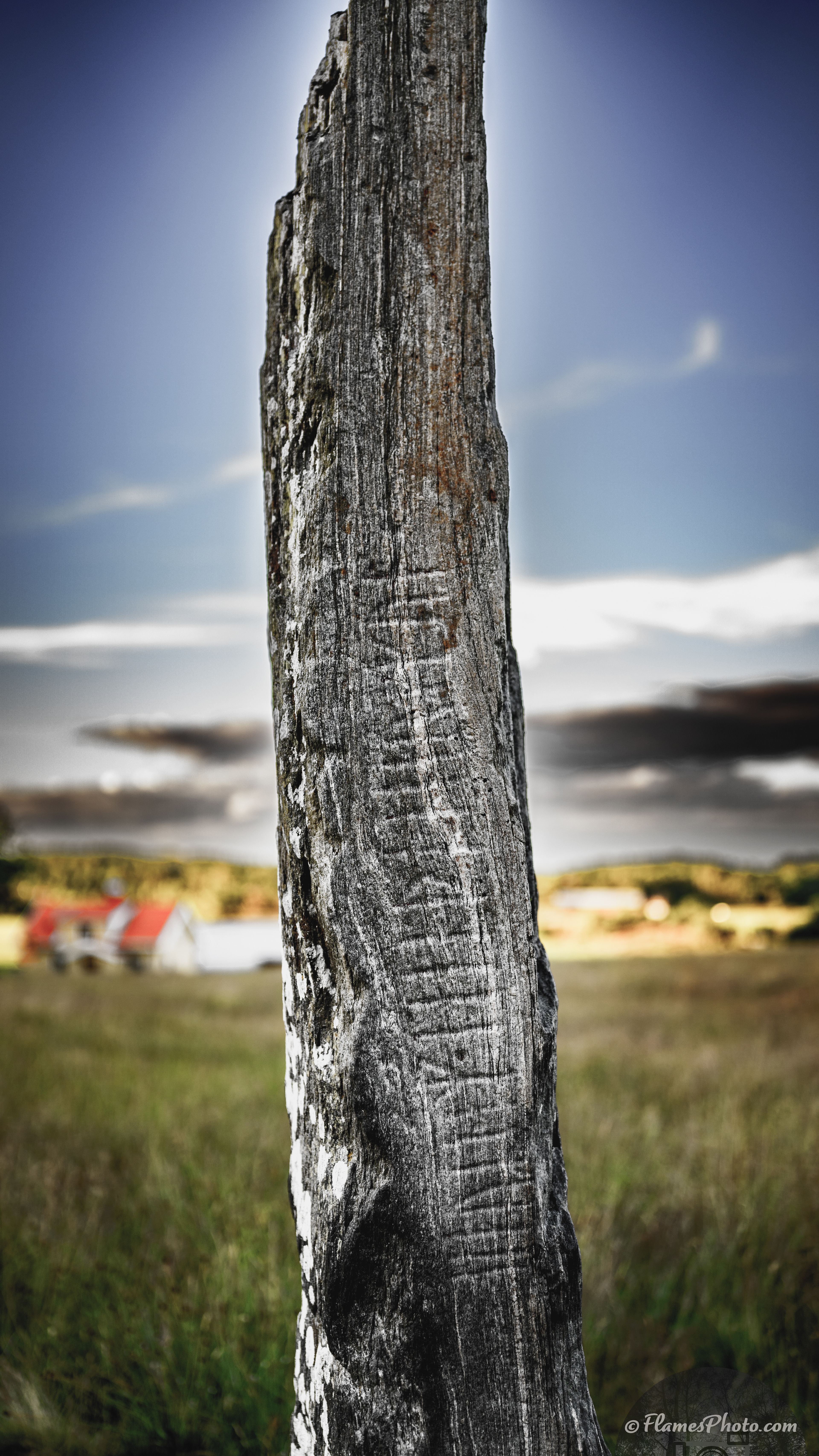 -43- © Joakim Öberg / FlamesPhoto