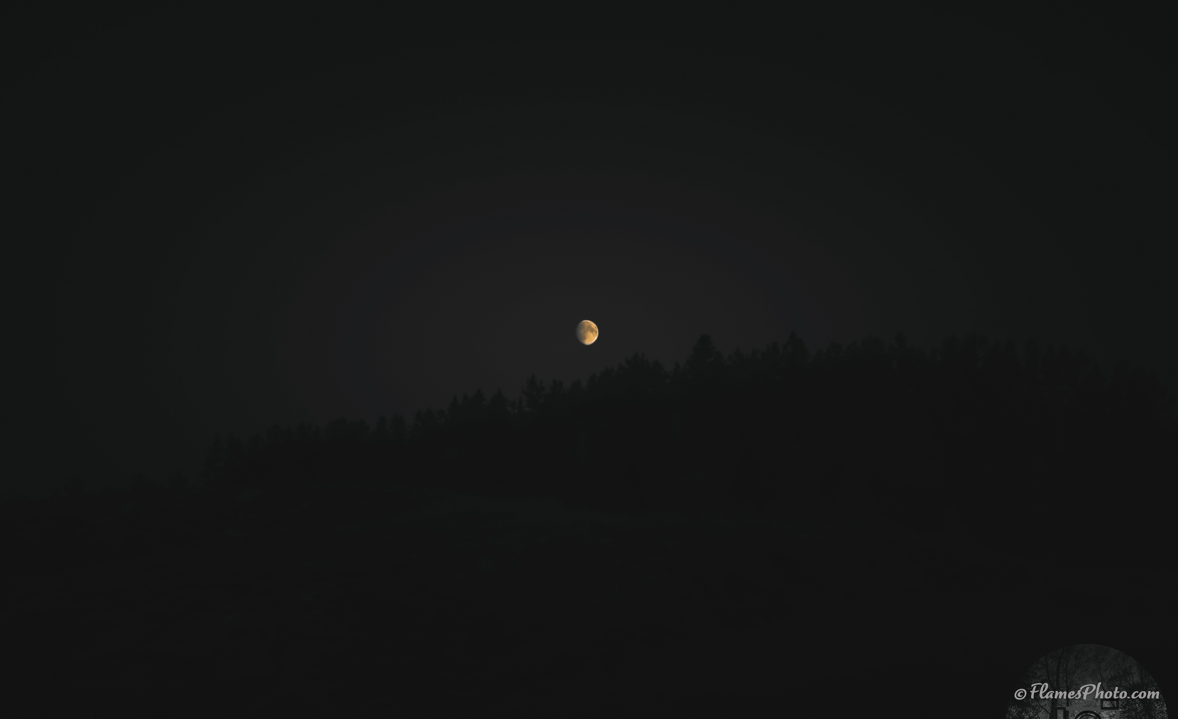 -82- © Joakim Öberg / FlamesPhoto