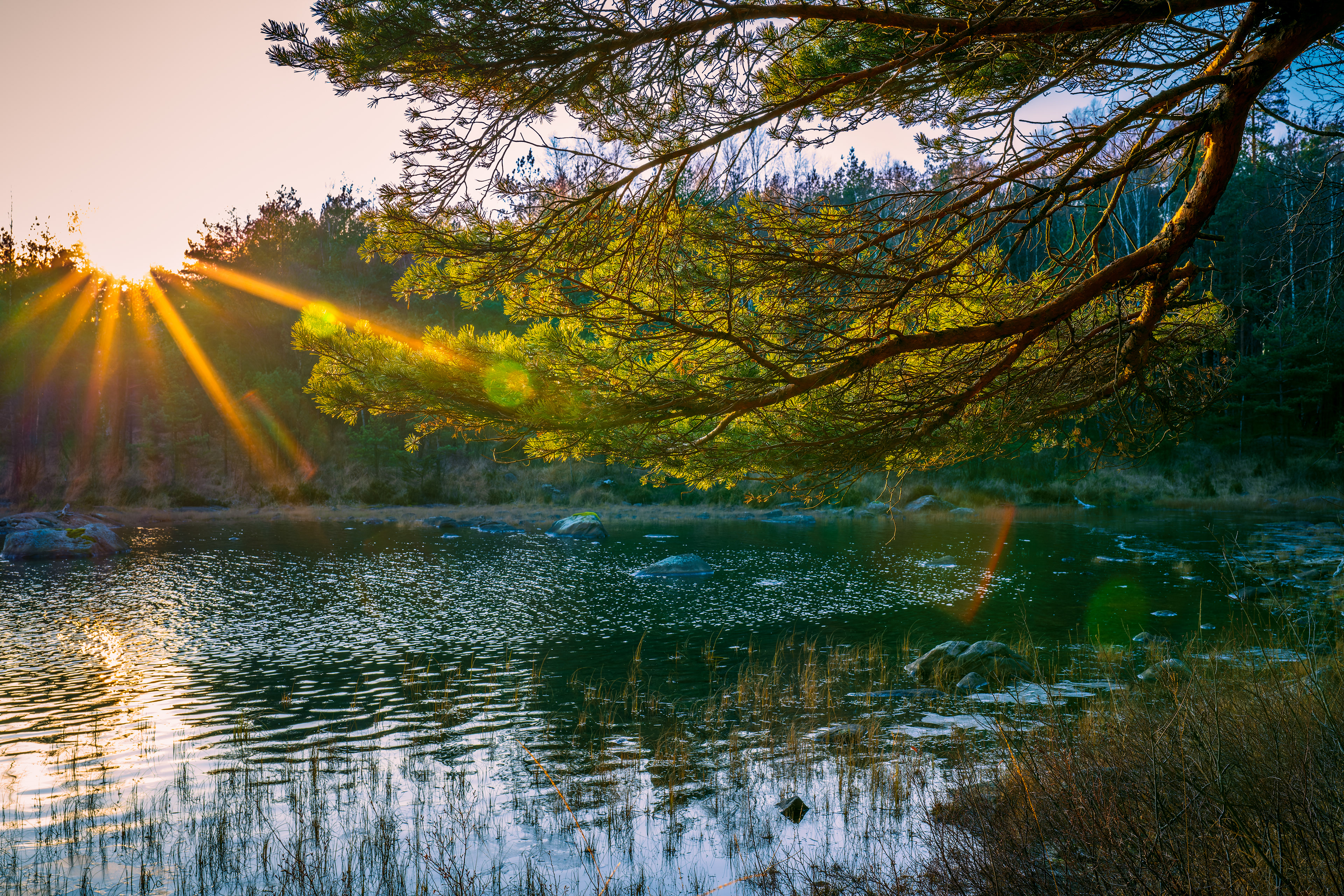 -10- © Joakim Öberg / FlamesPhoto