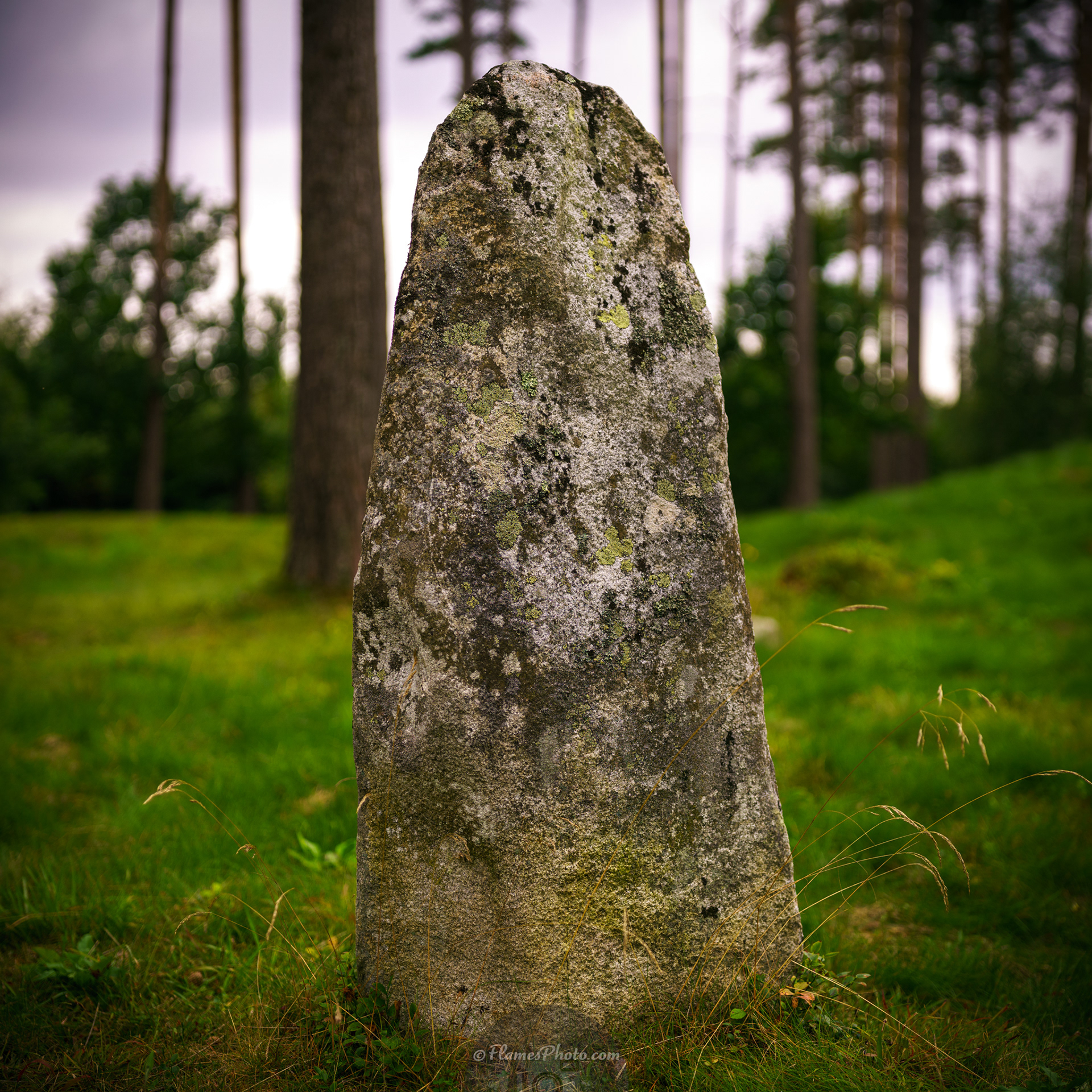 -36- © Joakim Öberg / FlamesPhoto