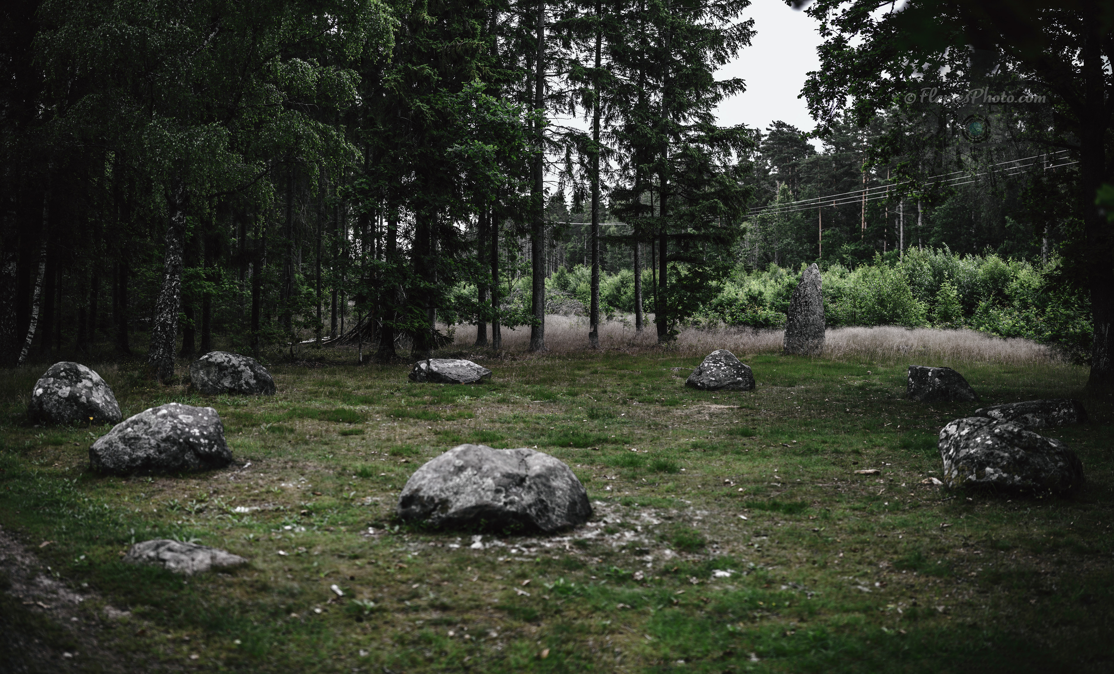 -10- © Joakim Öberg / FlamesPhoto