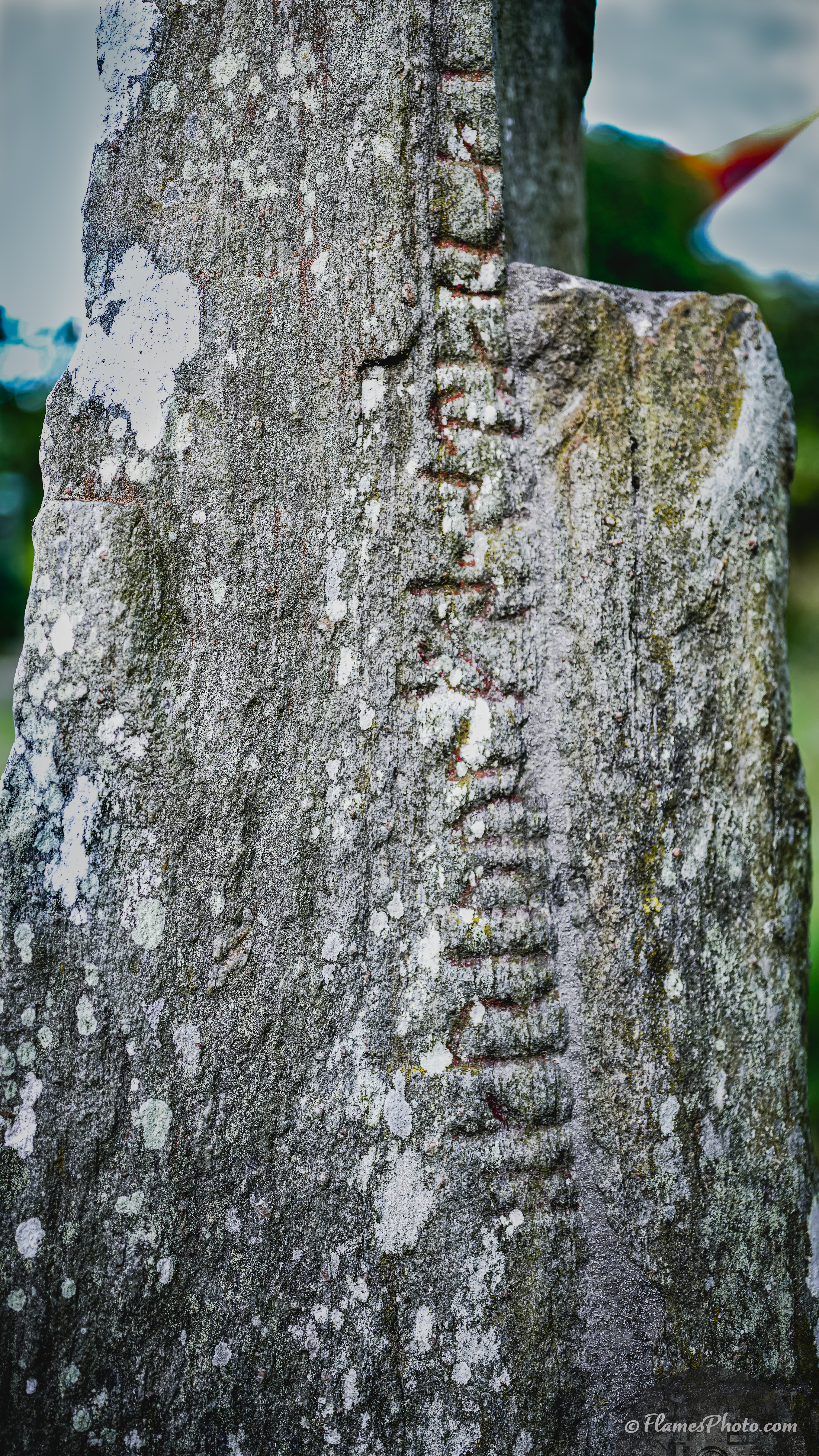 -42- © Joakim Öberg / FlamesPhoto