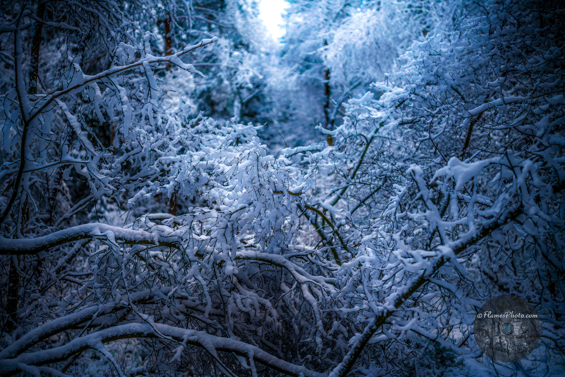 -20- © Joakim Öberg / FlamesPhoto