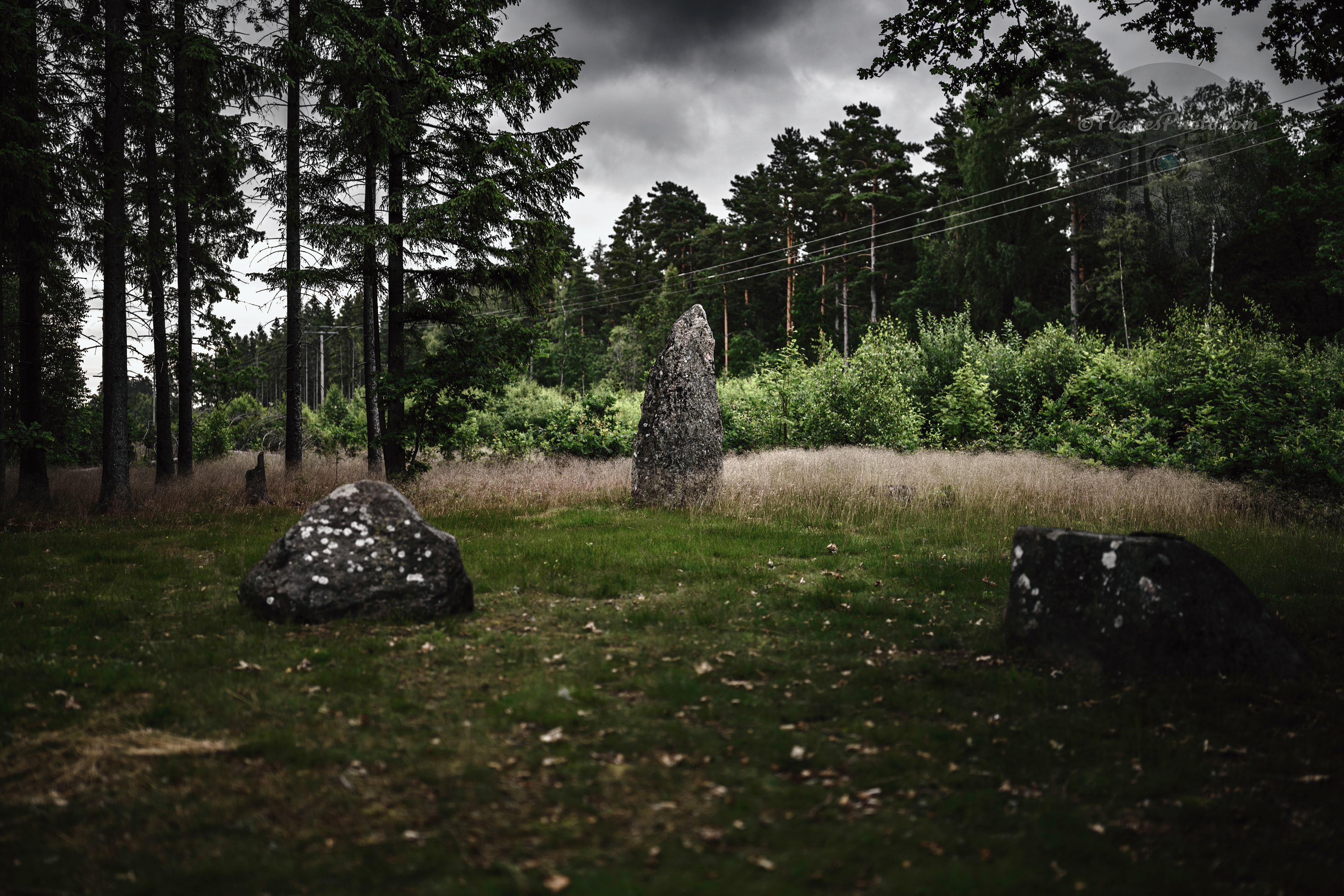 -11- © Joakim Öberg / FlamesPhoto