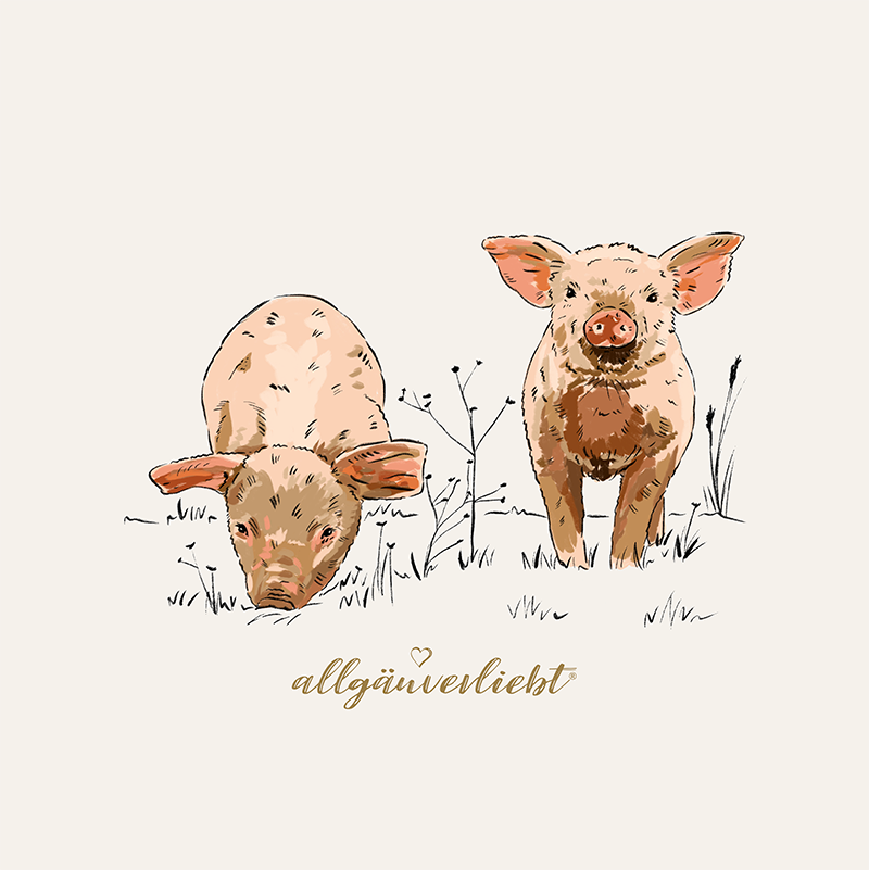 Zwei Schweine