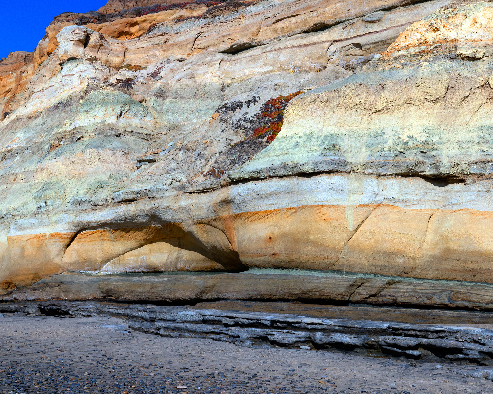 Walls of Torrey - Is it a bird?