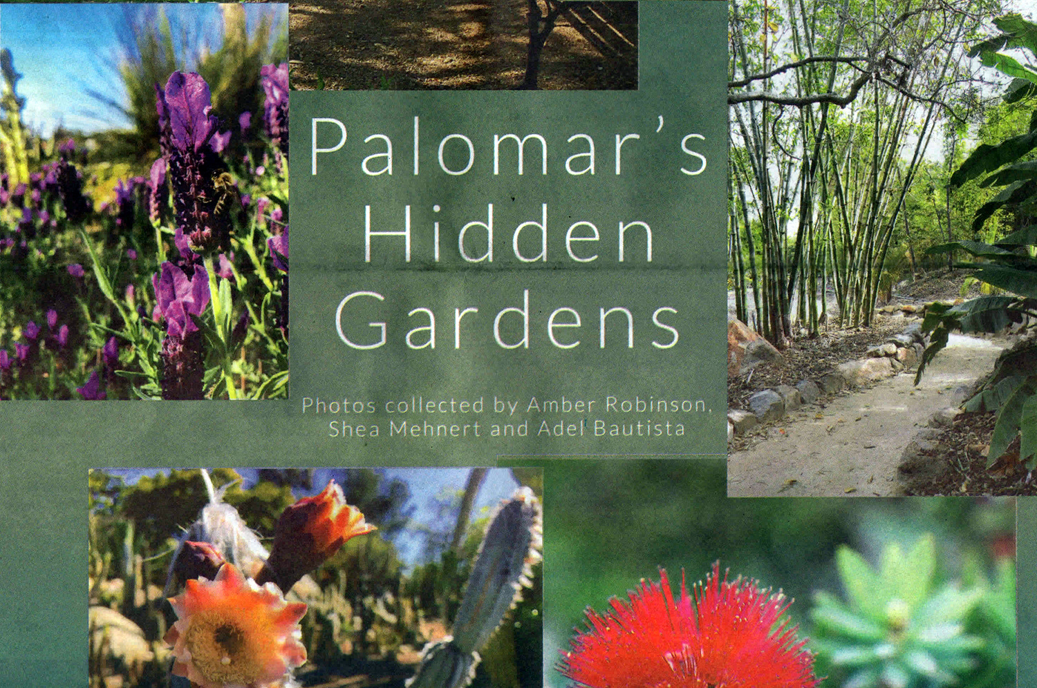 Palomar Gardens