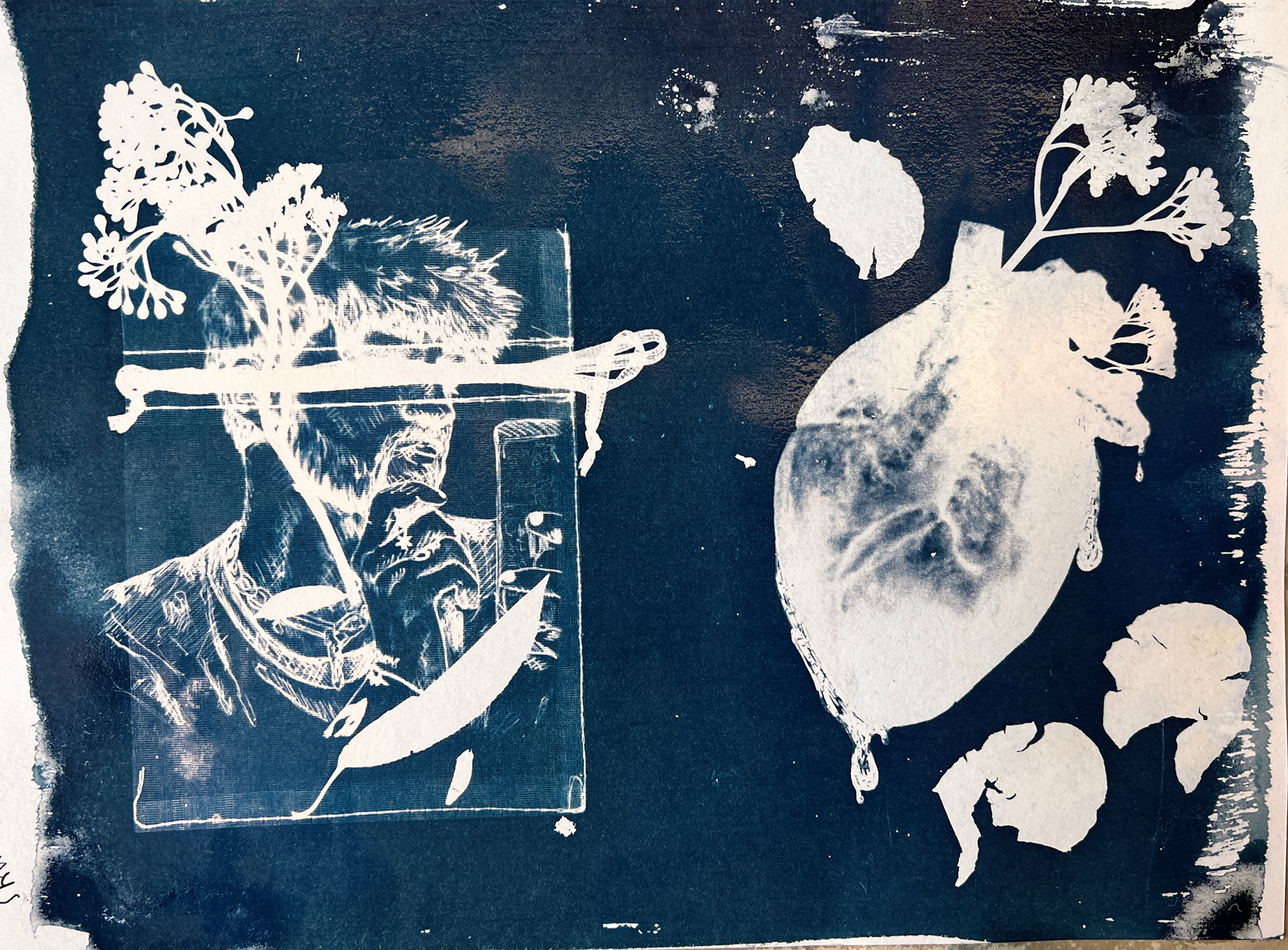 Cyanotype