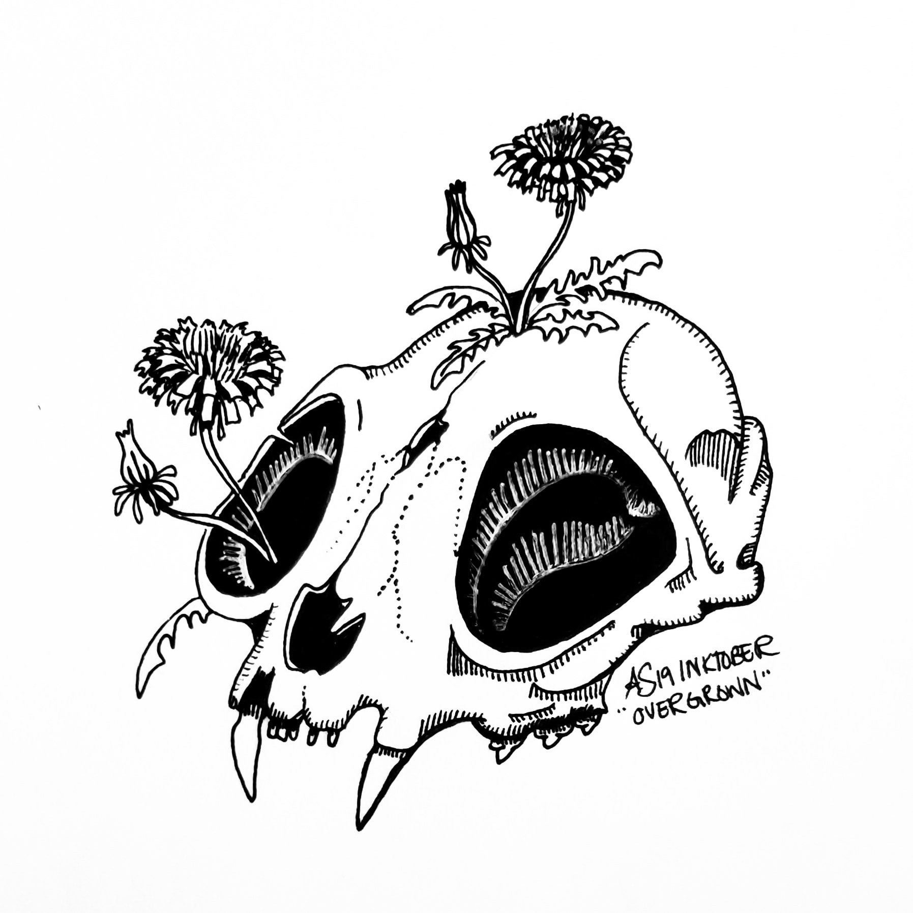 ink drawing