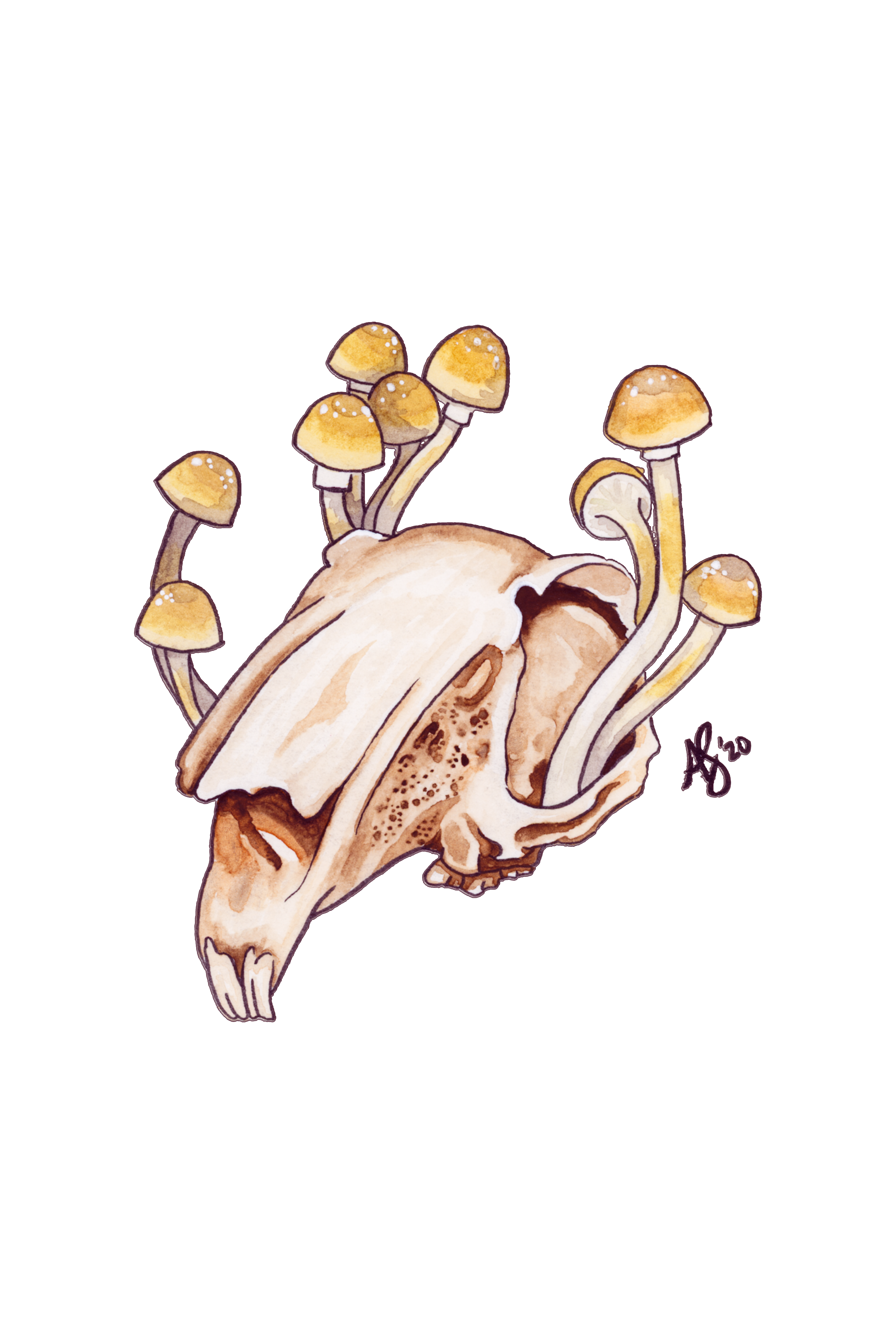 watercolor (for die cut sticker) - down the rabbit hole