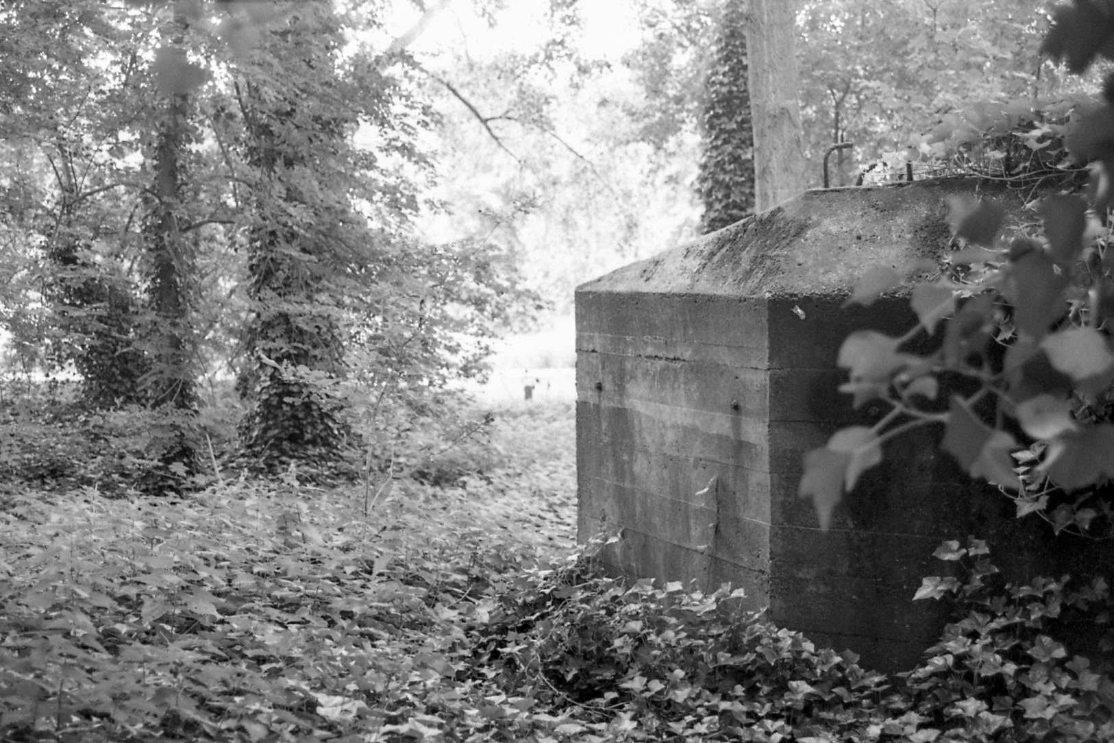 #2002 #grave