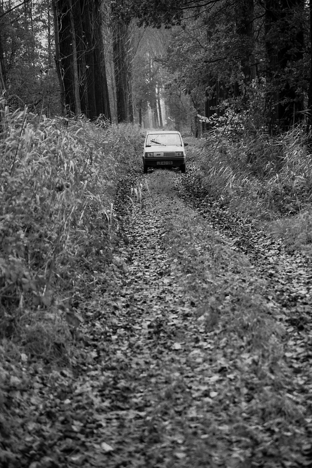 #1999 #gennep