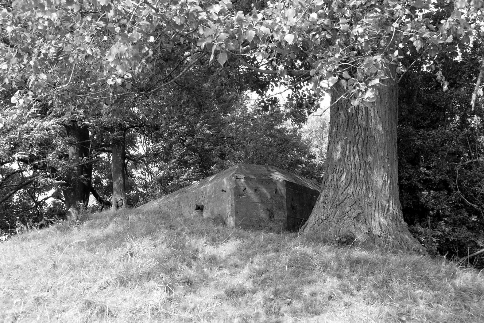 #2000 #rhenen
