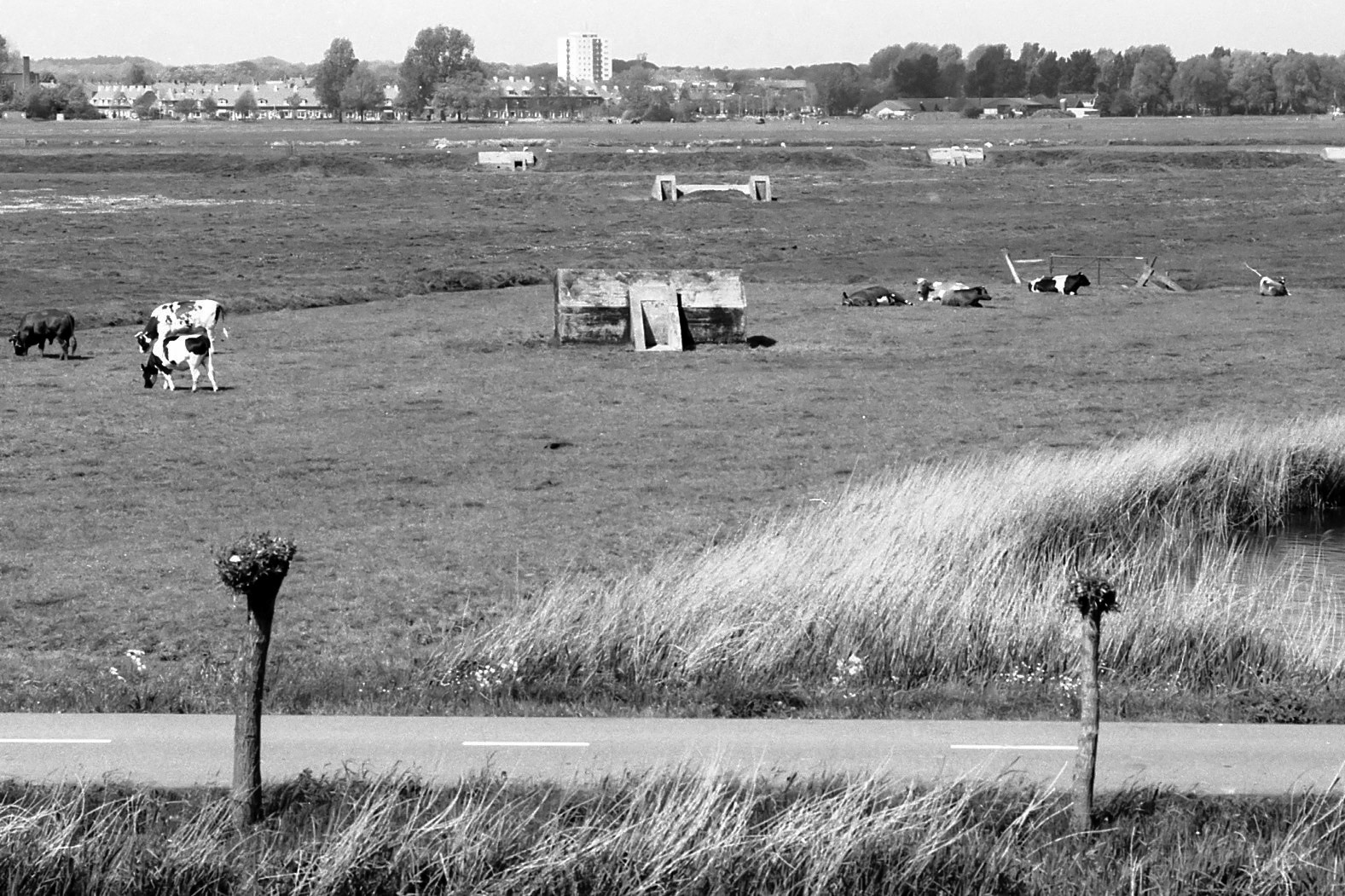 #2000 #spaarndam