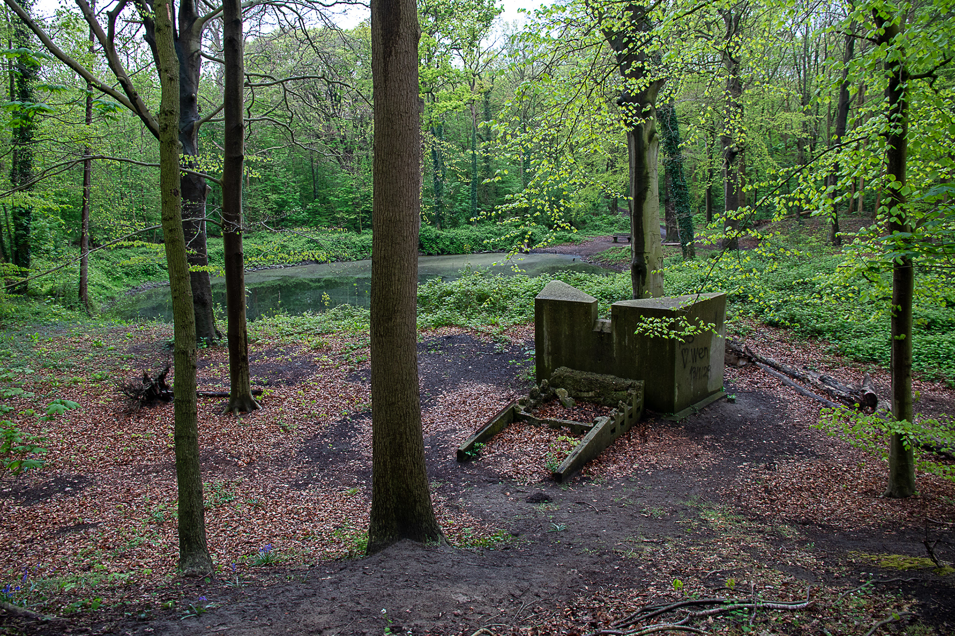 #2025 #staelduinse bos