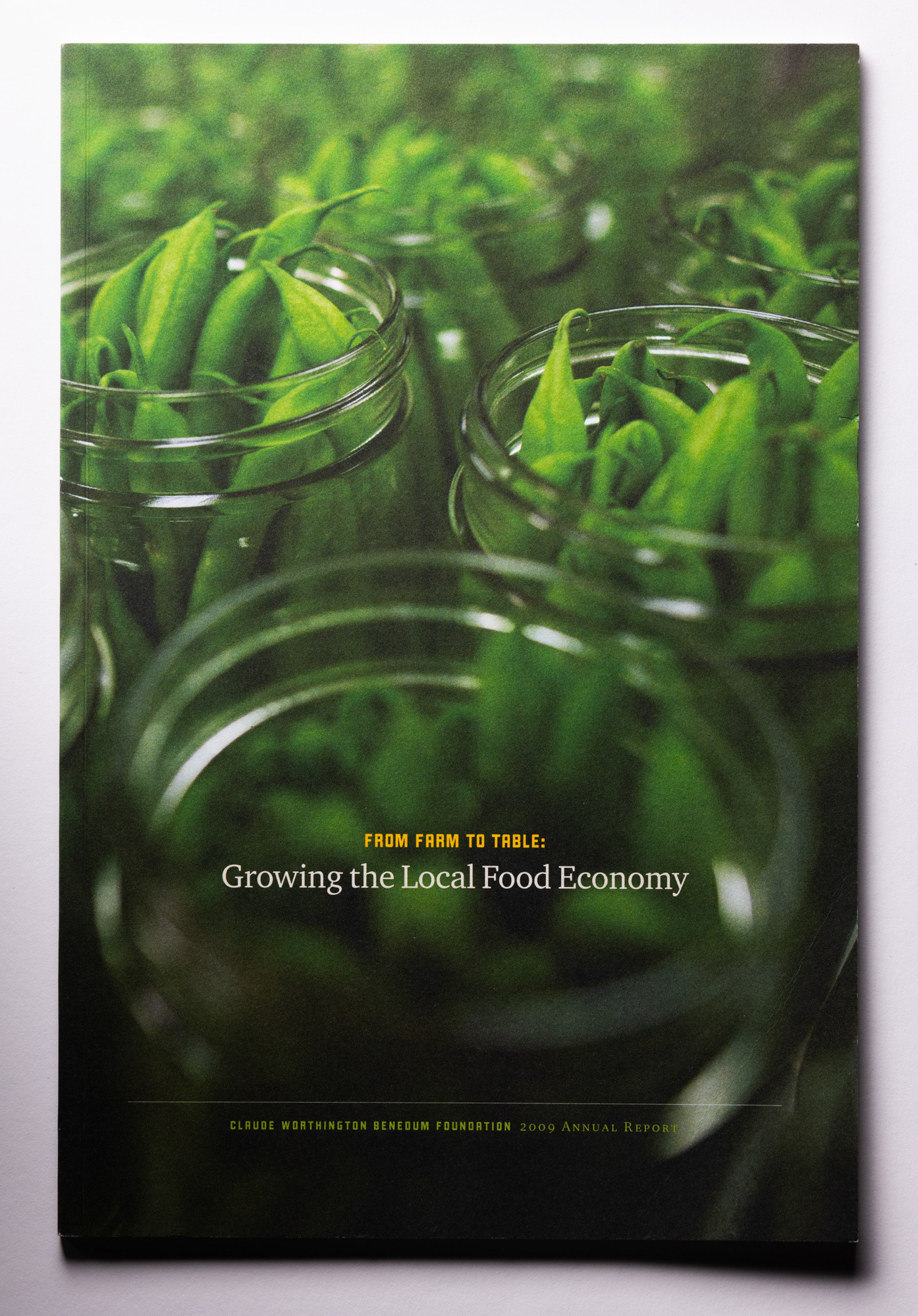 Benedum Foundation Annual Report, Landesberg Design