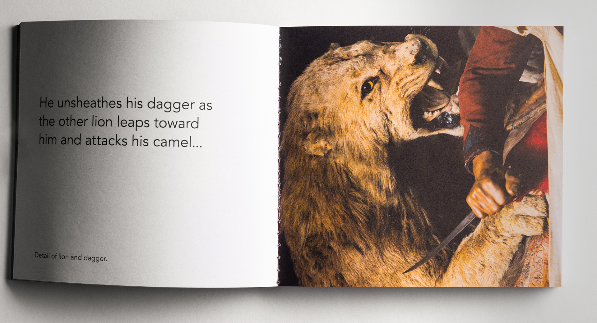 Lion Attacking a Dromedary. Consistent with CMNH policy regarding display of human remains, this famous exhibit was removed.