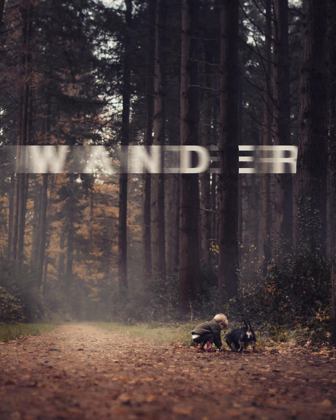 WAnder in the Woods