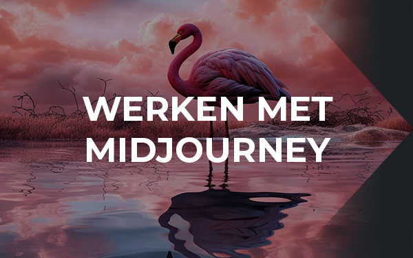 werken met midjourney / flamingo in water