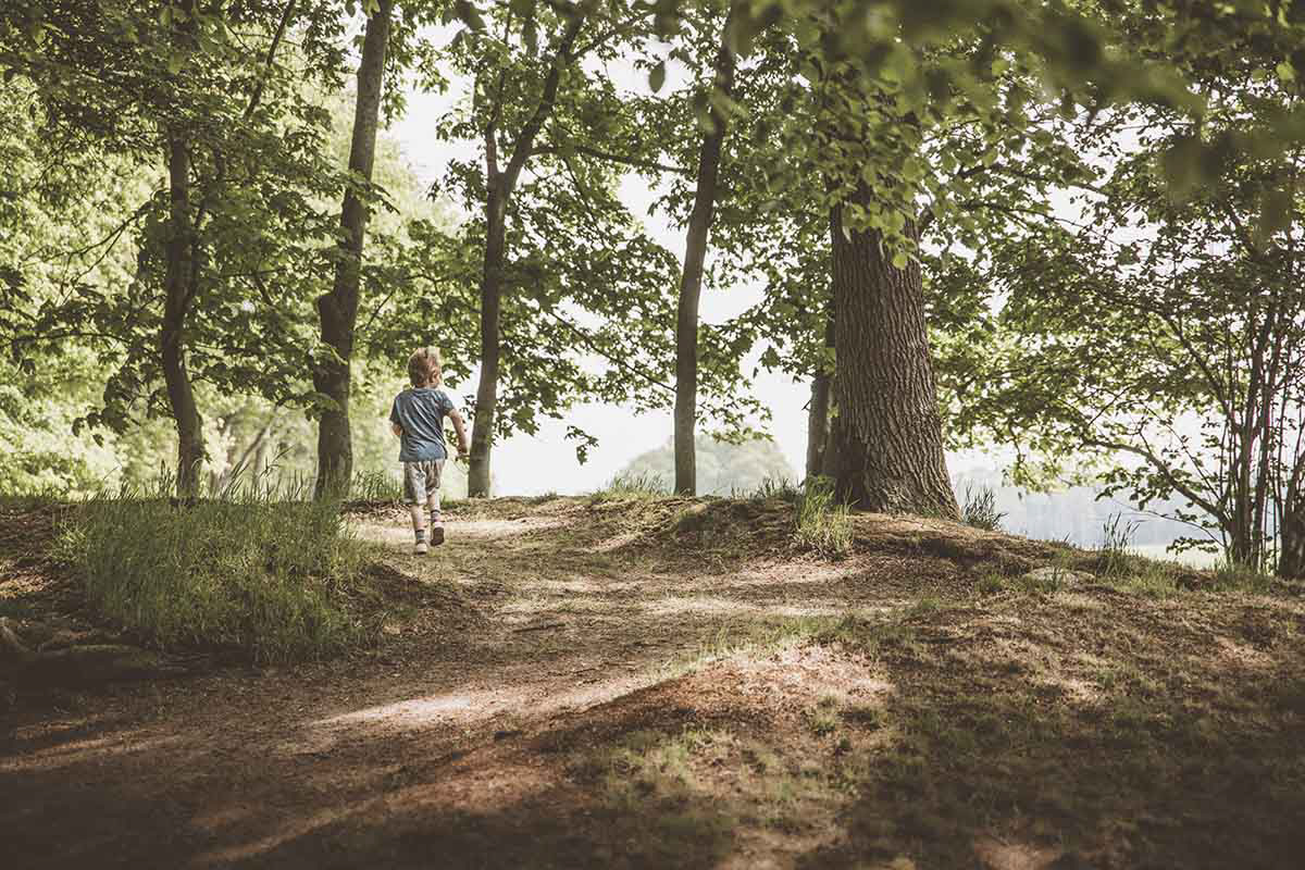 Wandering