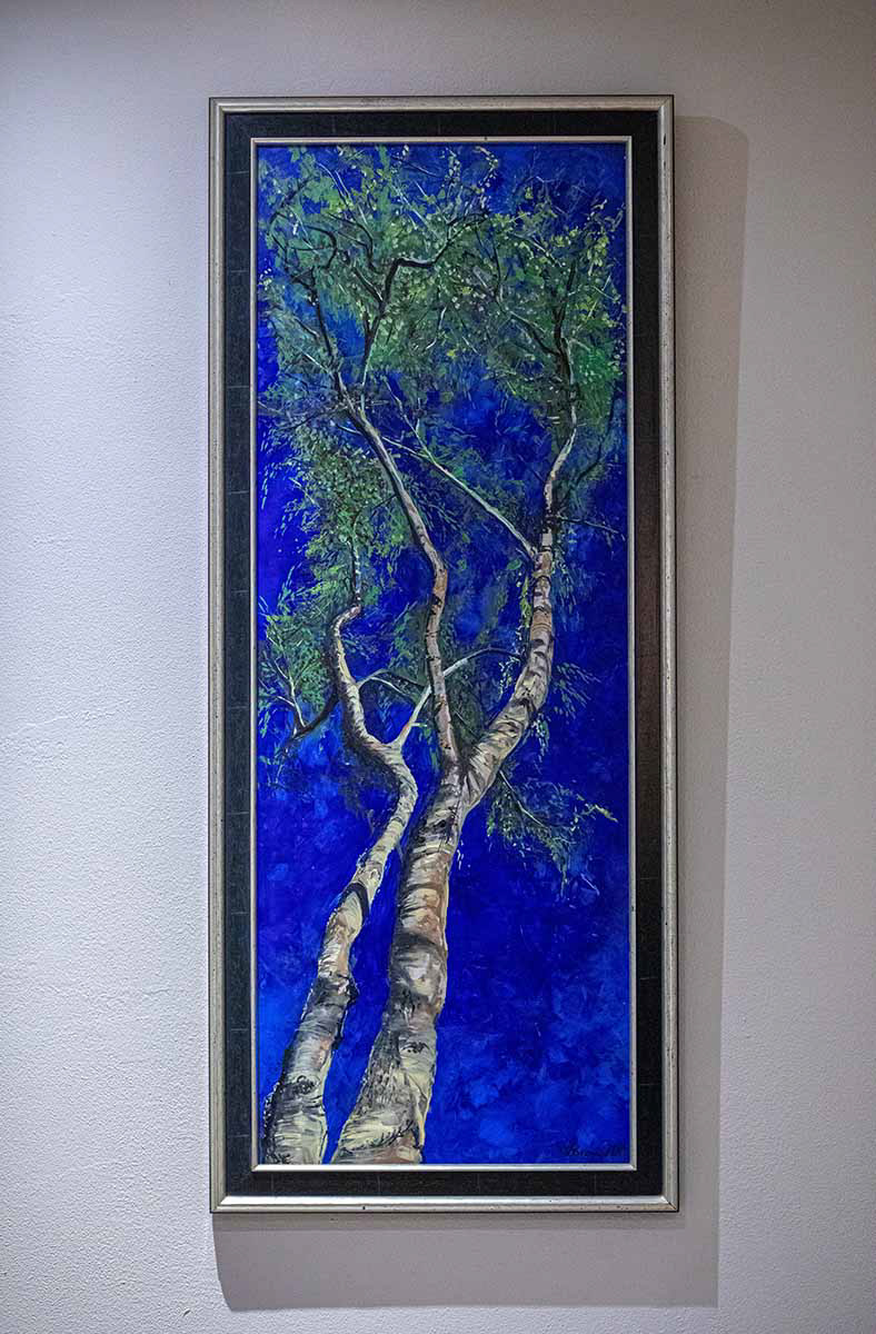 De berk in de lente van Paterswolde