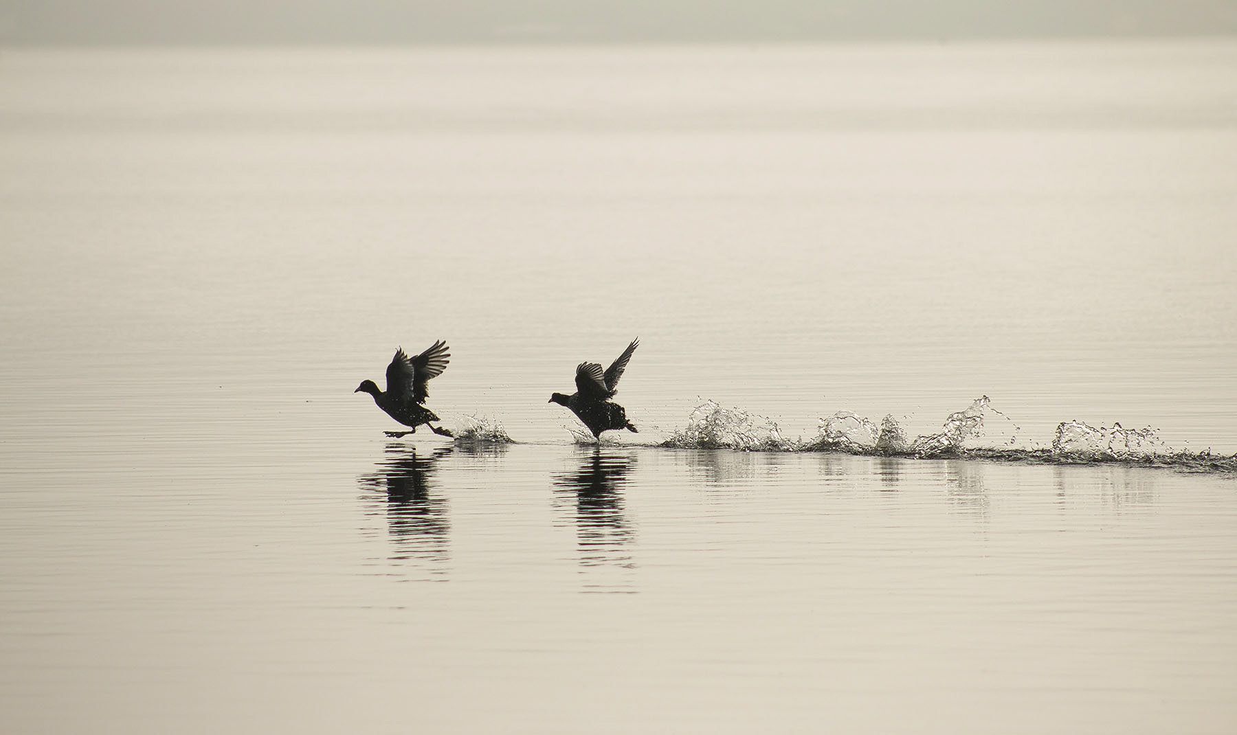 Lopen op water