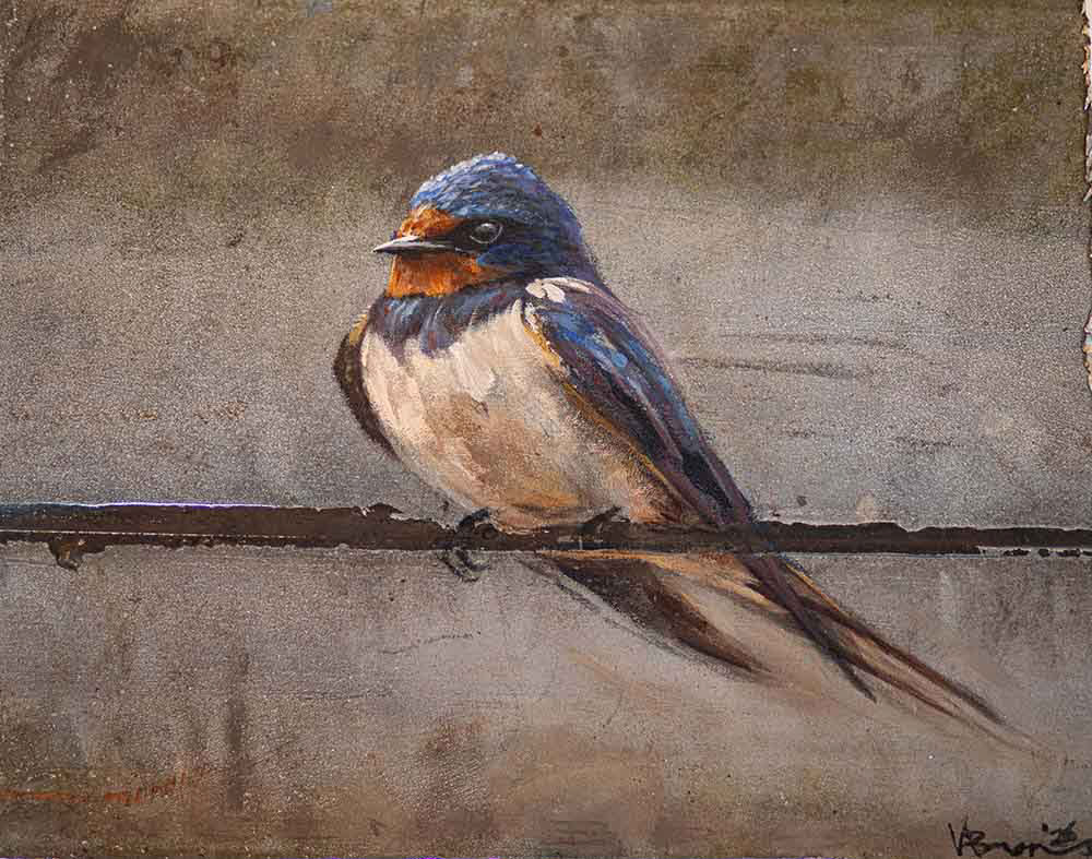 Boerenzwaluw op zink - Vincent Brons '26