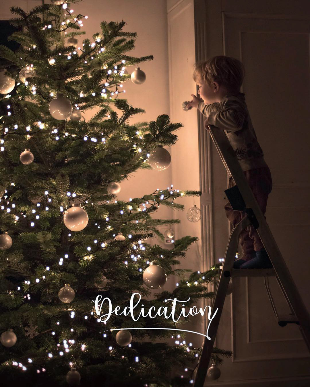 Christmas Tree Decorations Vincent Brons