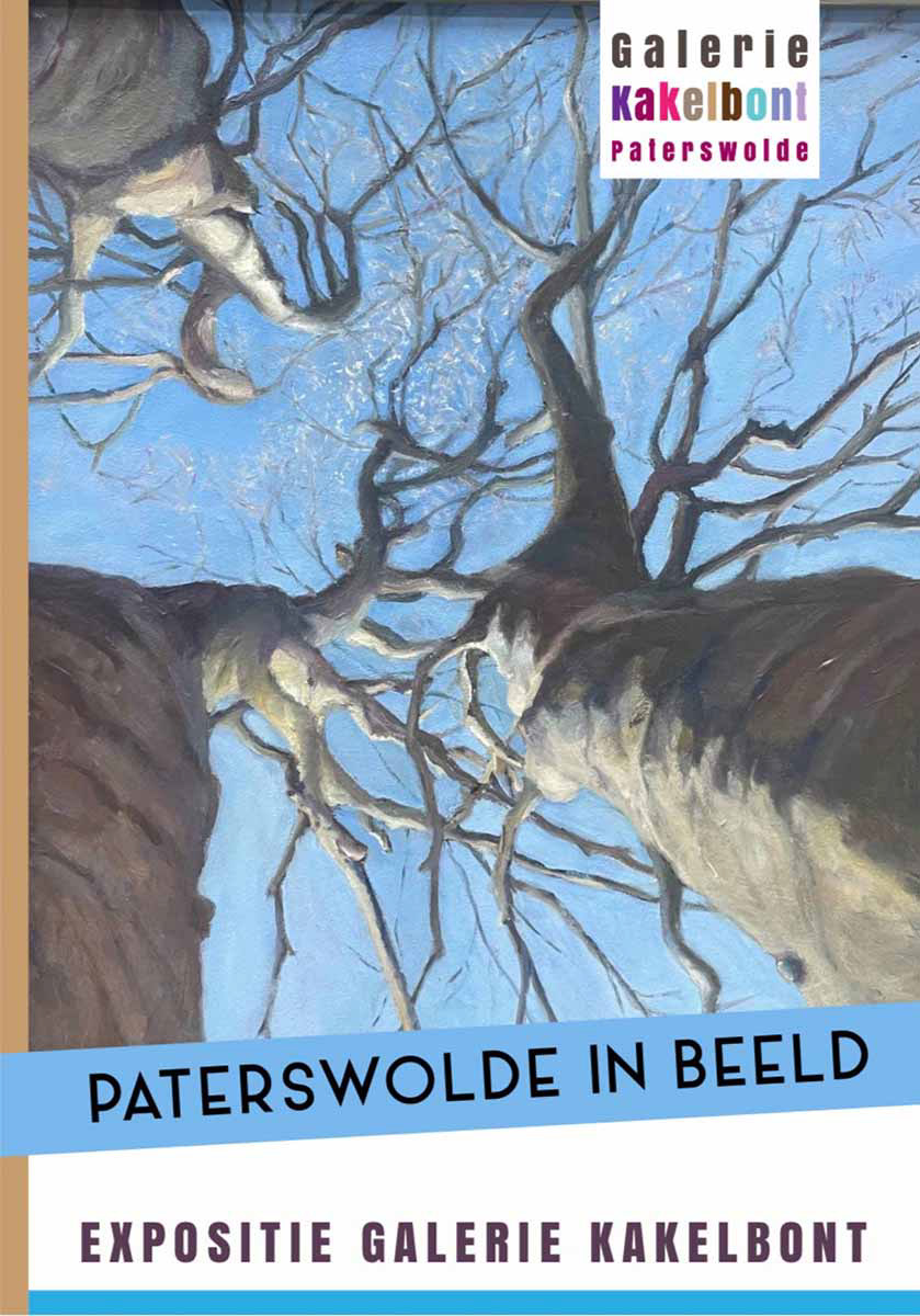 Affiche poster expositie Paterswolde in Beeld