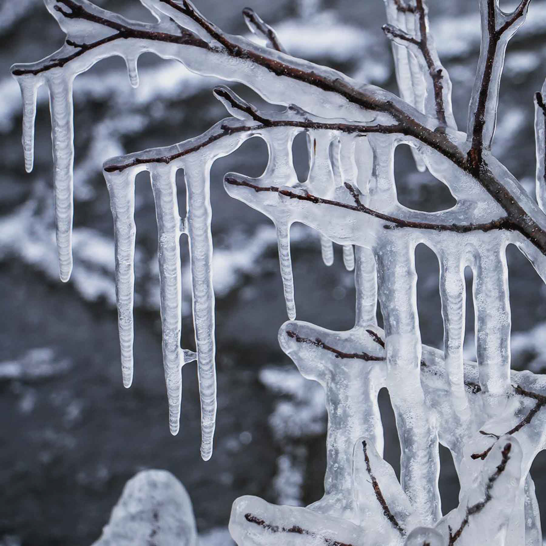 Now Freeze - Eelderwolde