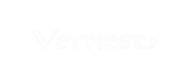 De Nieuwe Vermeer