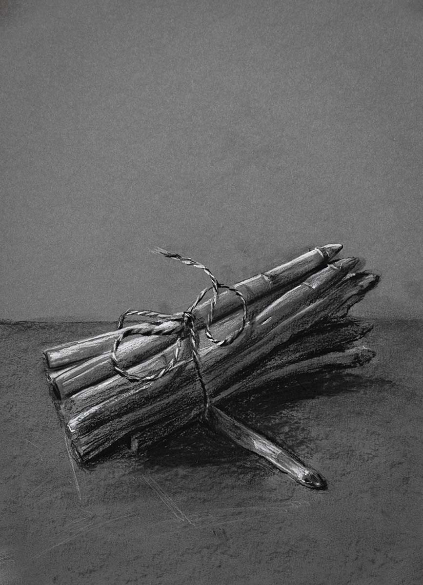 Asperges Tekening Vincent Brons