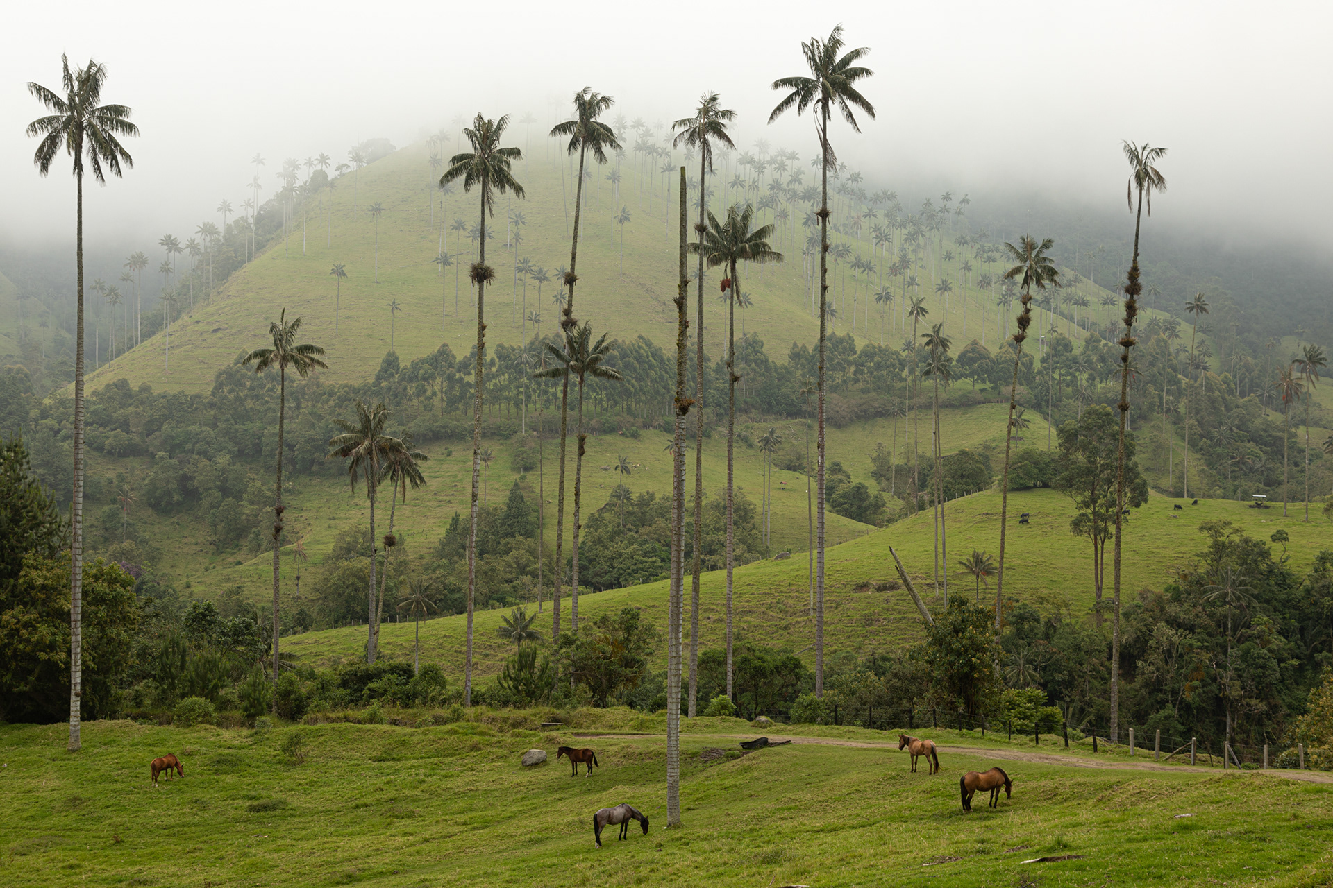 Colombia, 2022