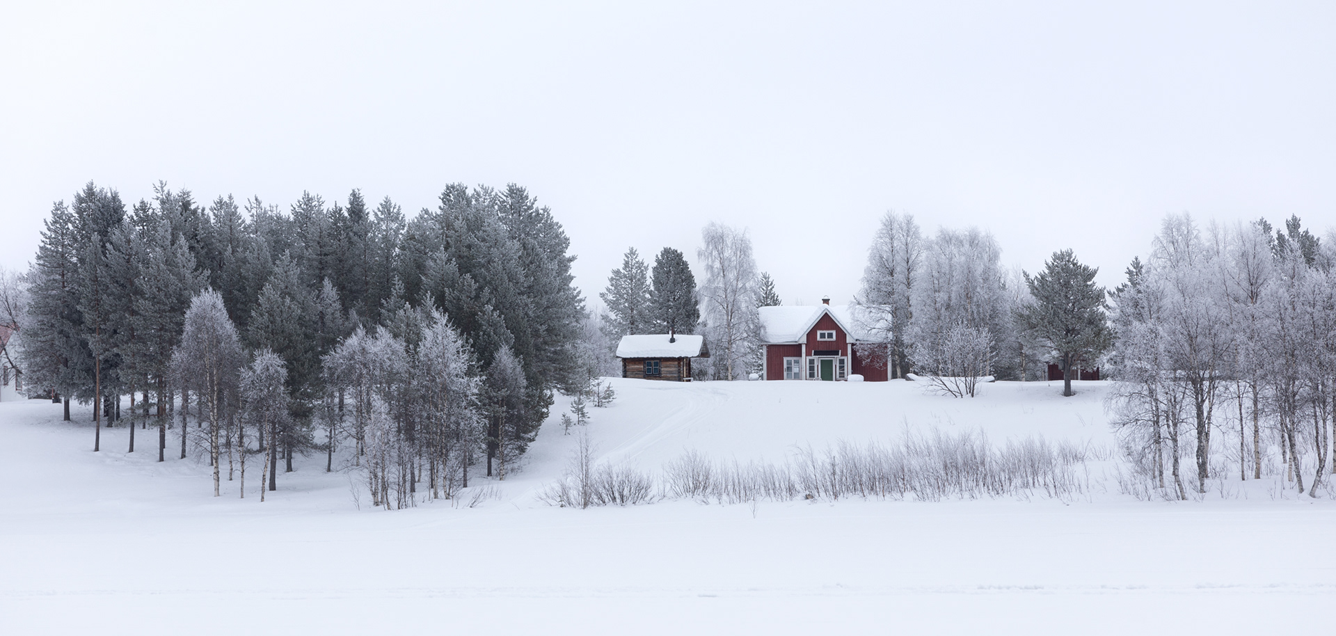 Swedish Lapland, 2024
