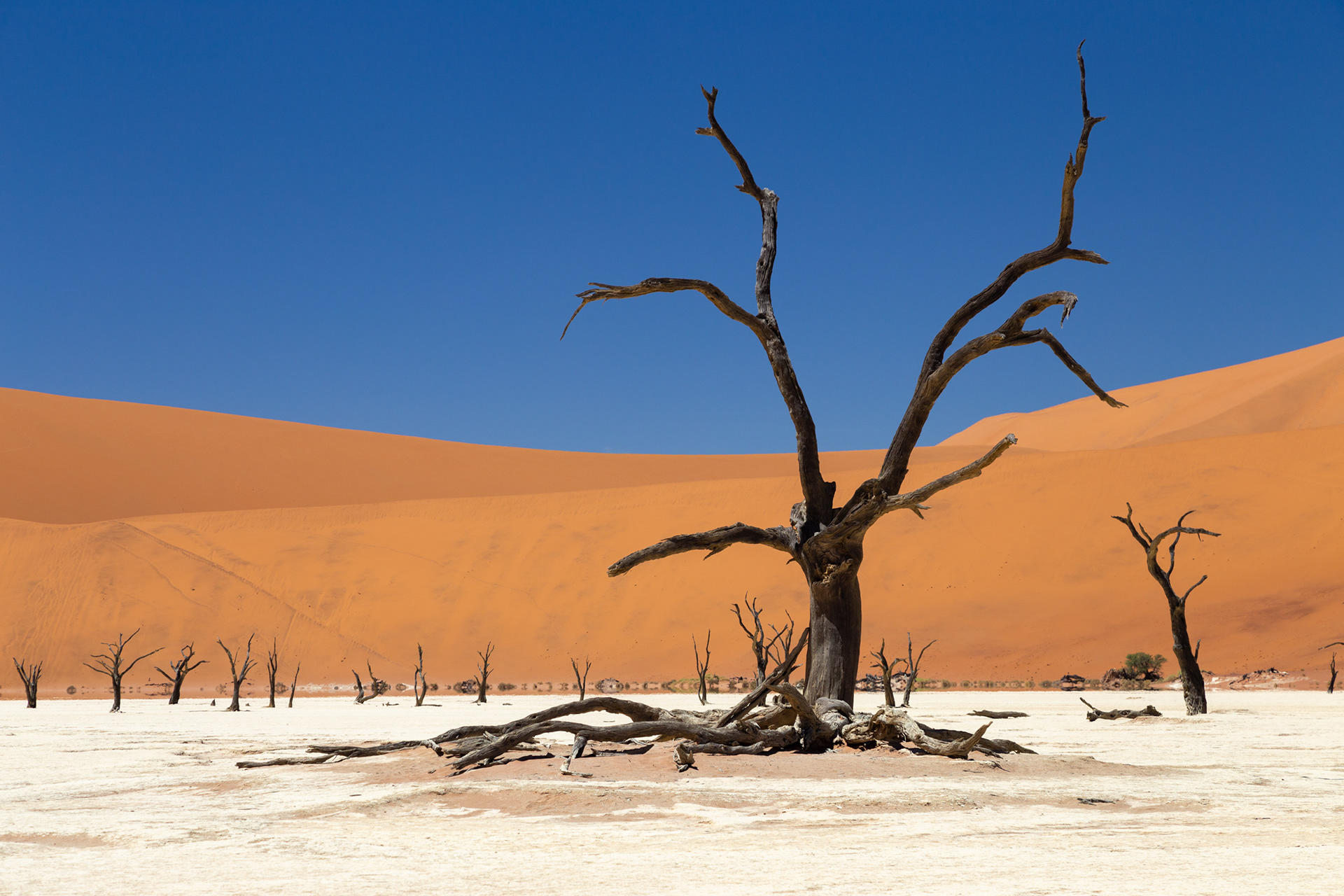 Namibia, 2016