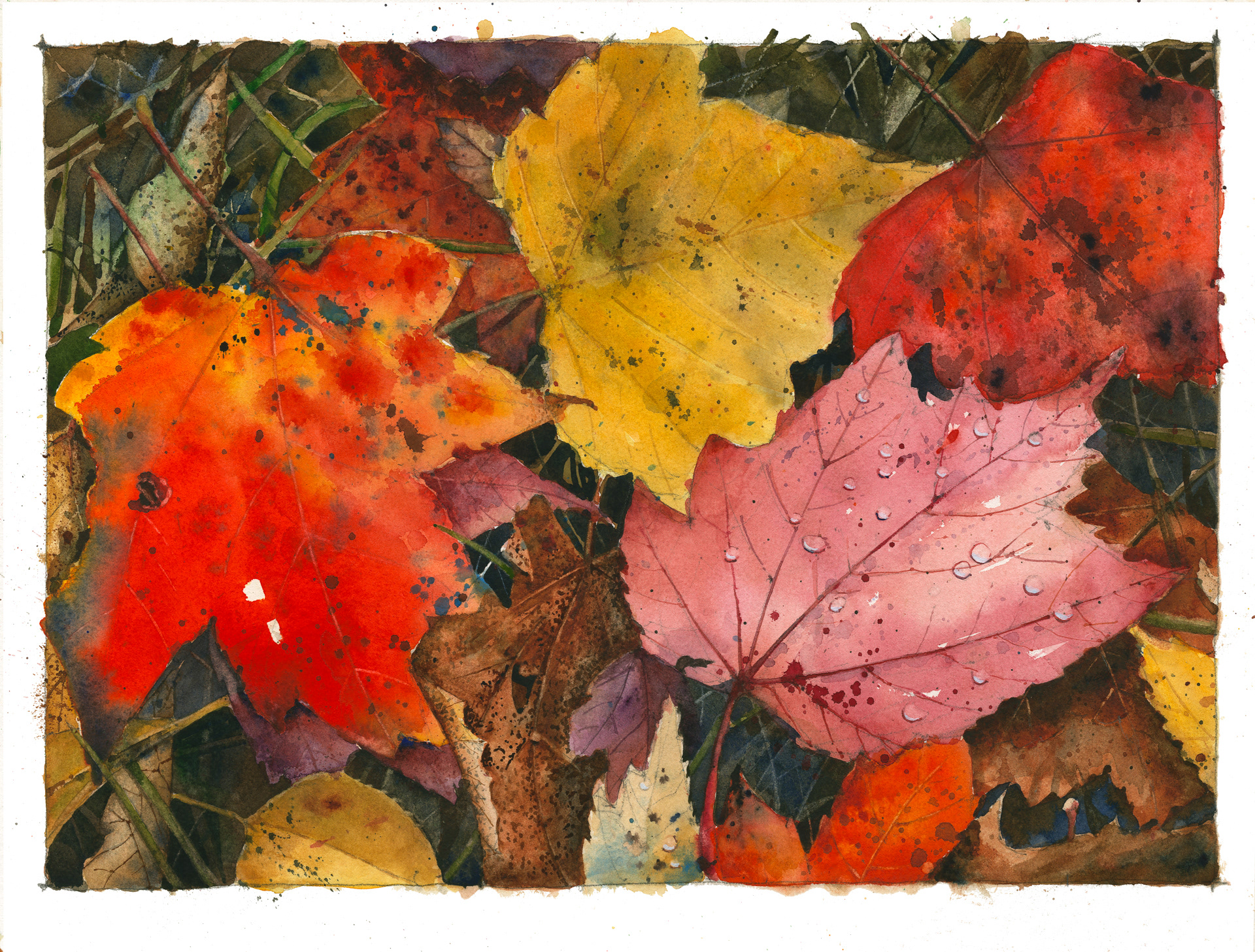 *Watercolour Study 2019