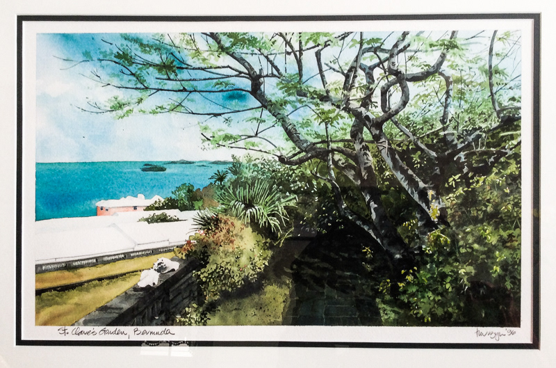 'Saint Clare's Garden' Bermuda 1996