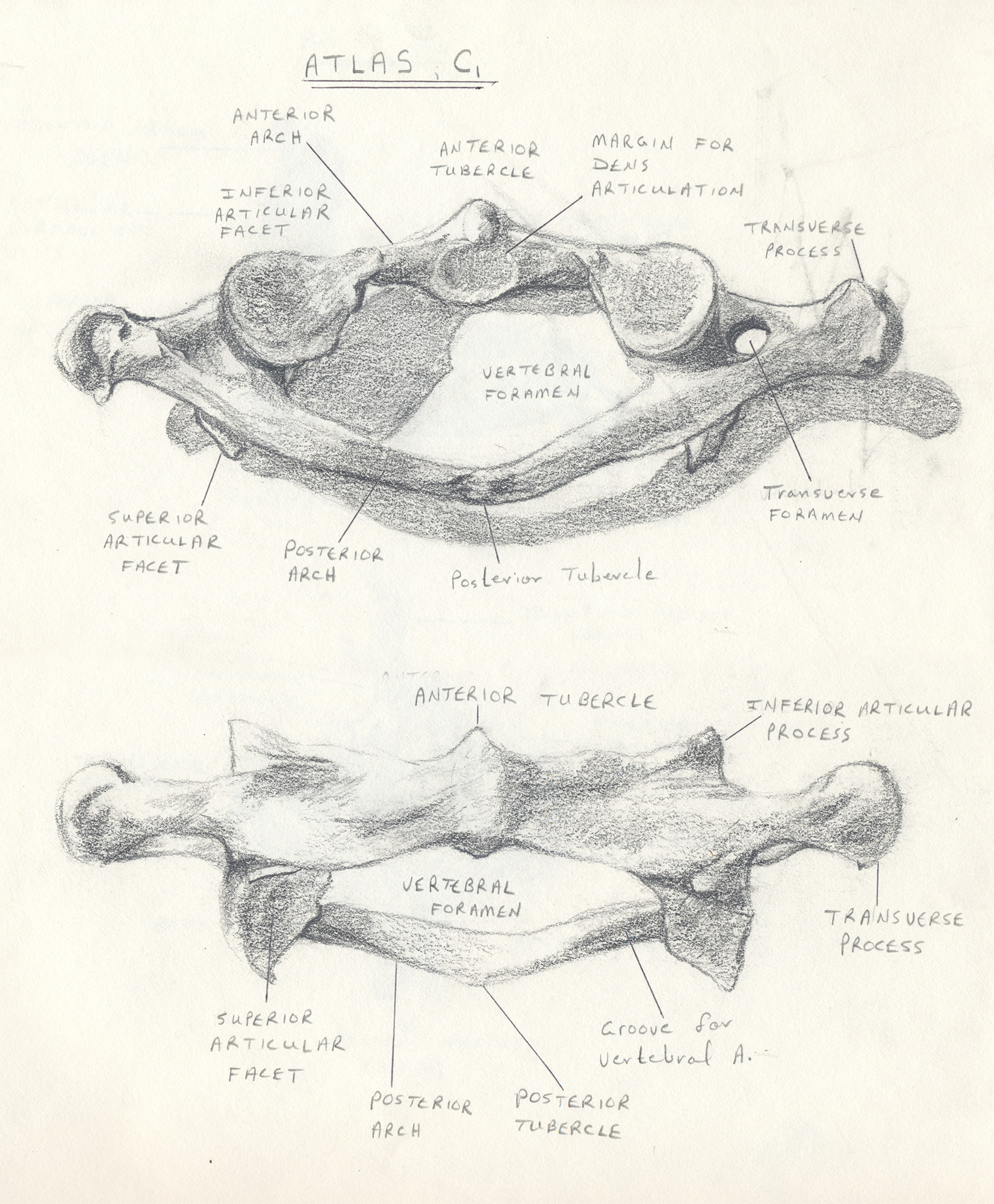 Aligned sketches