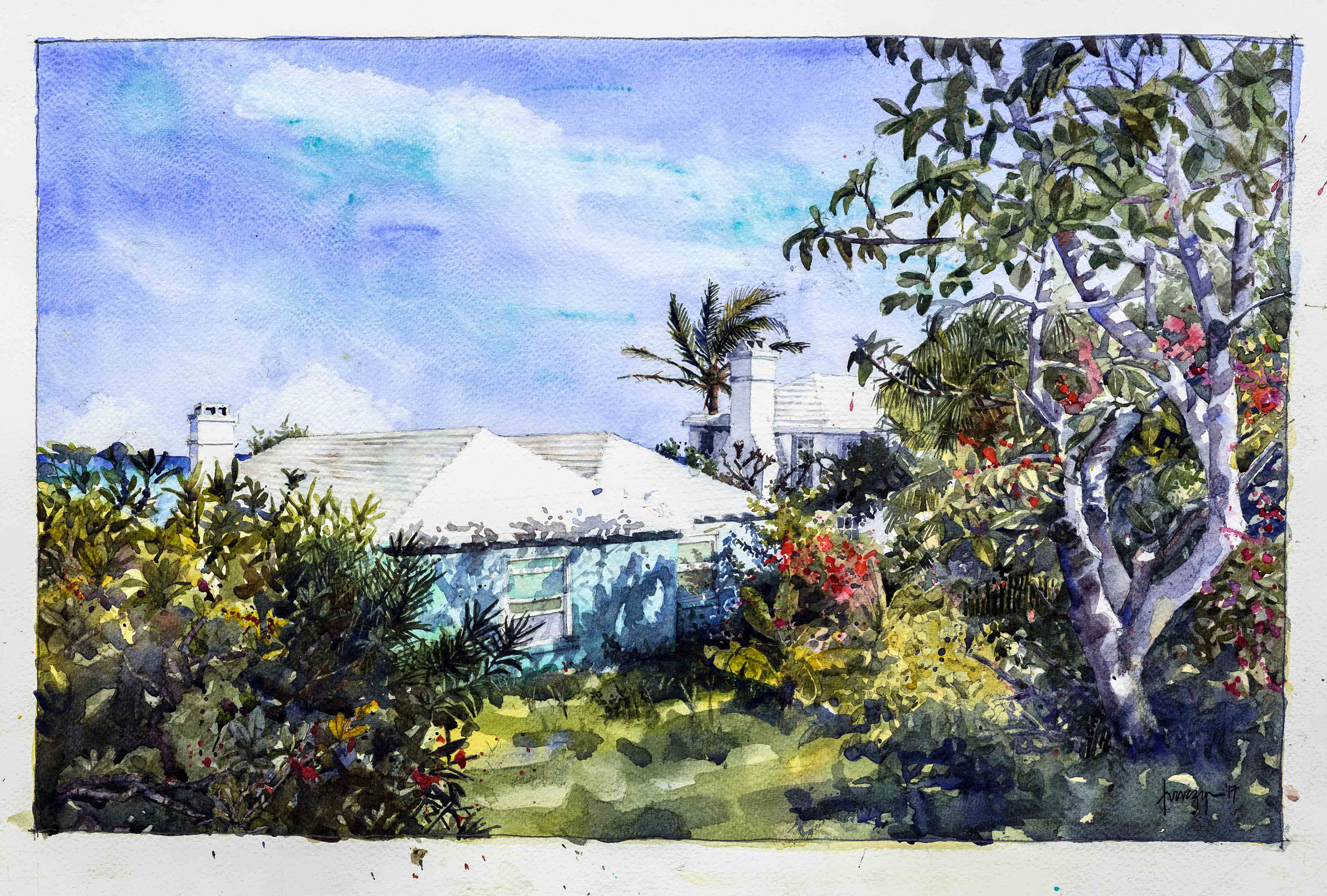 'Bermuda Garden' 2017