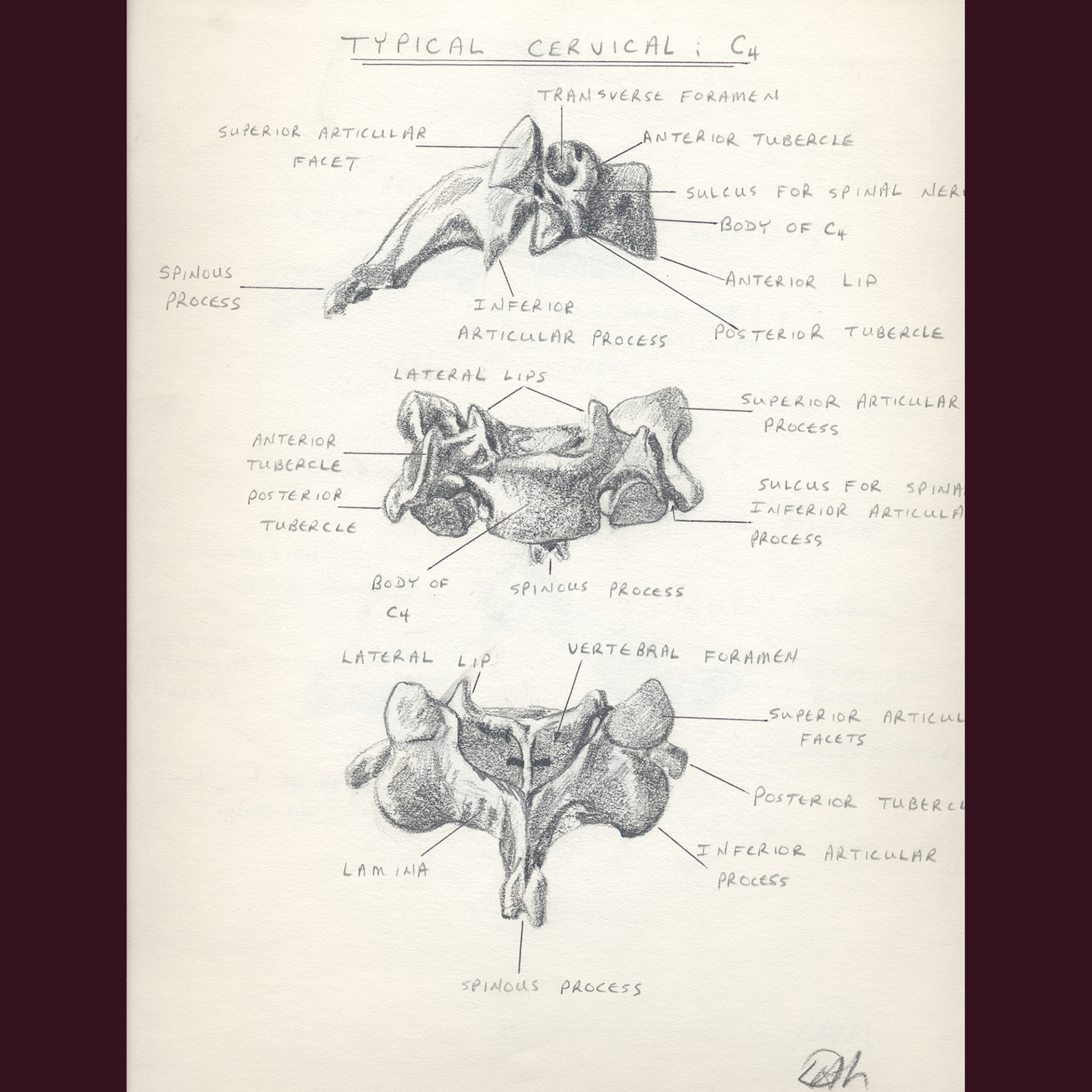 Original sketch