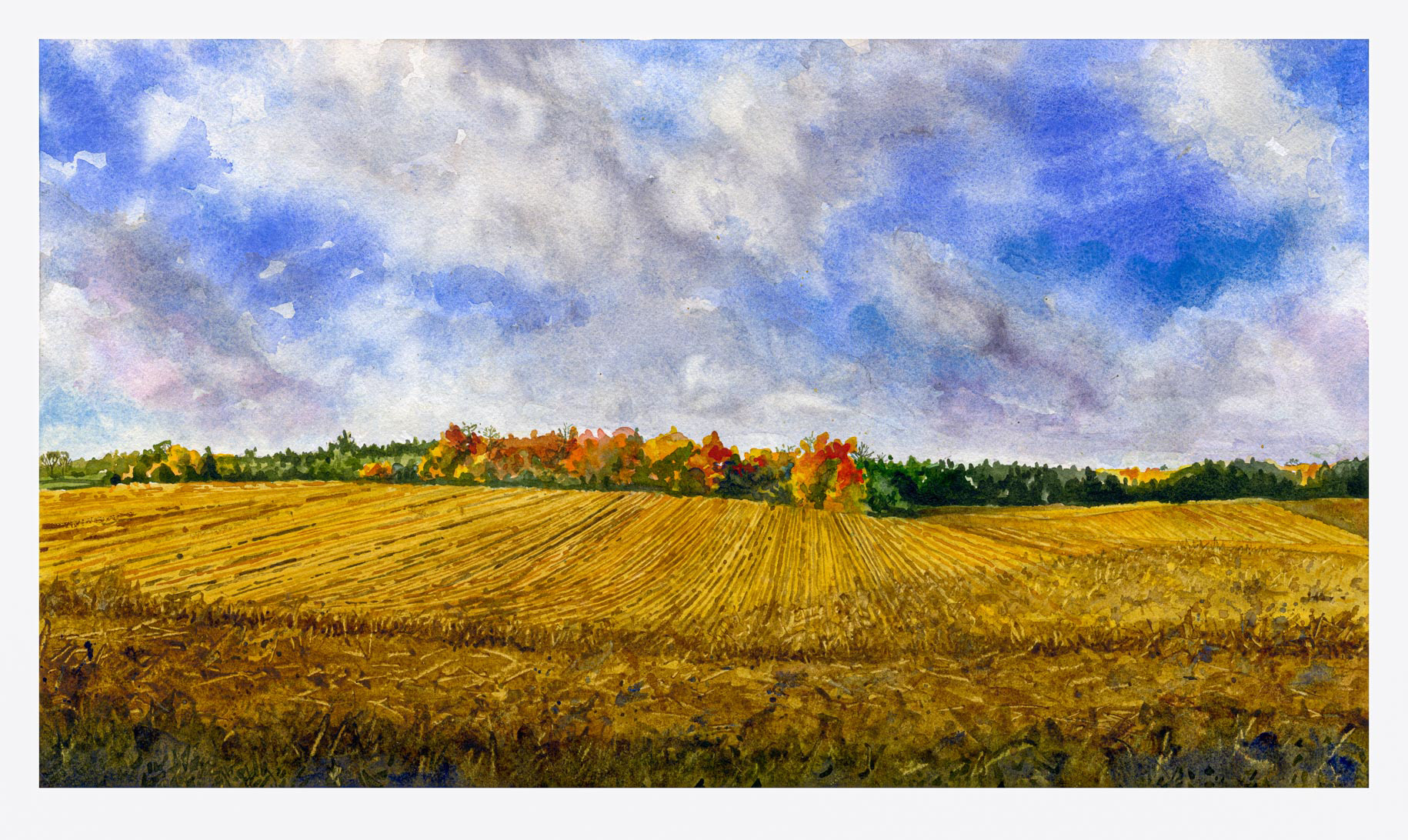 'Harvest Landscape, Huron County' 2022 / First Prize Huron Art Bank / $1,000